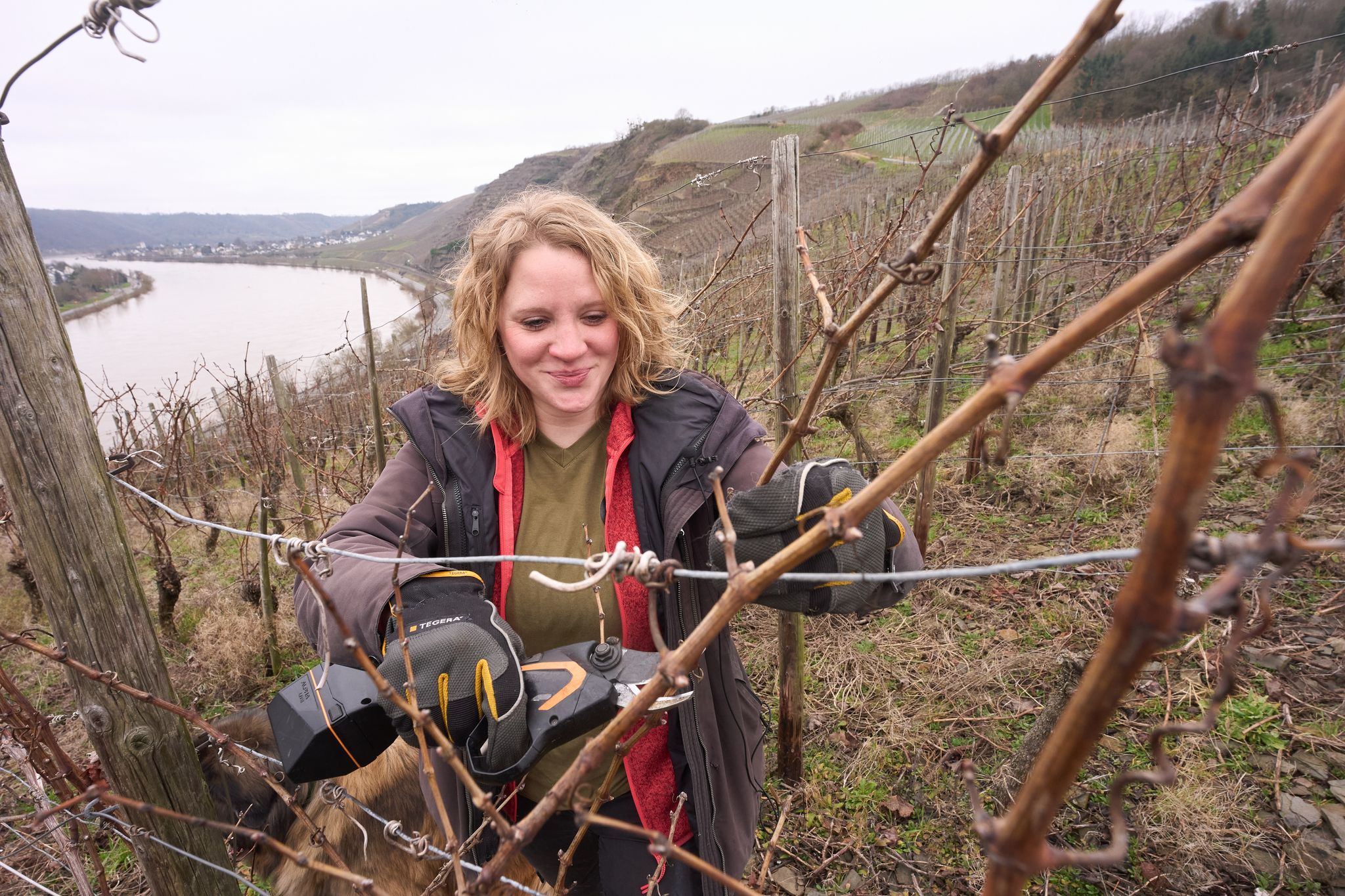 Frühling an der Mosel - drohen den Reben Frostschäden?
