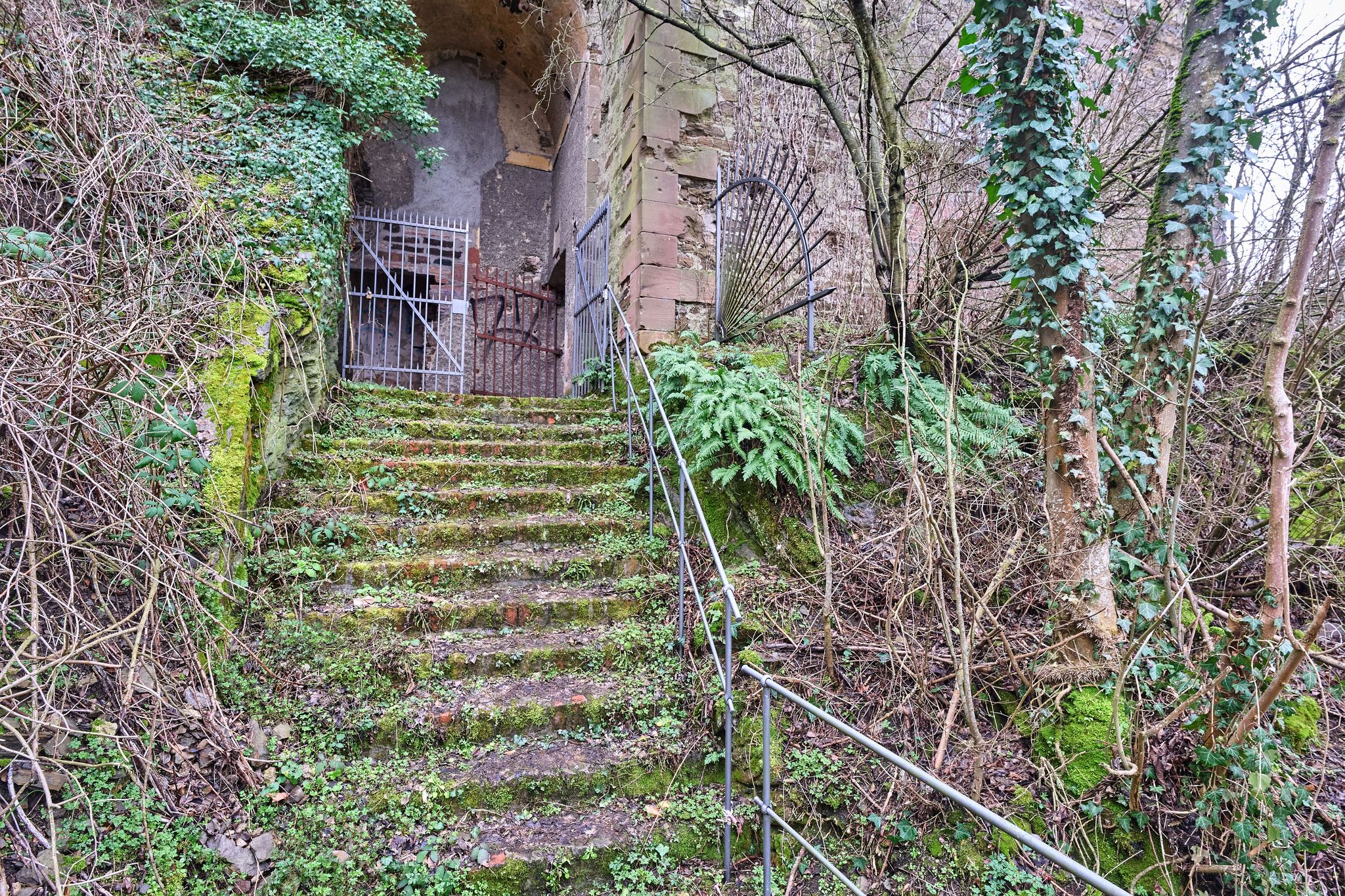 Mord an Festung - Details zu Festnahme nach Jahrzehnten