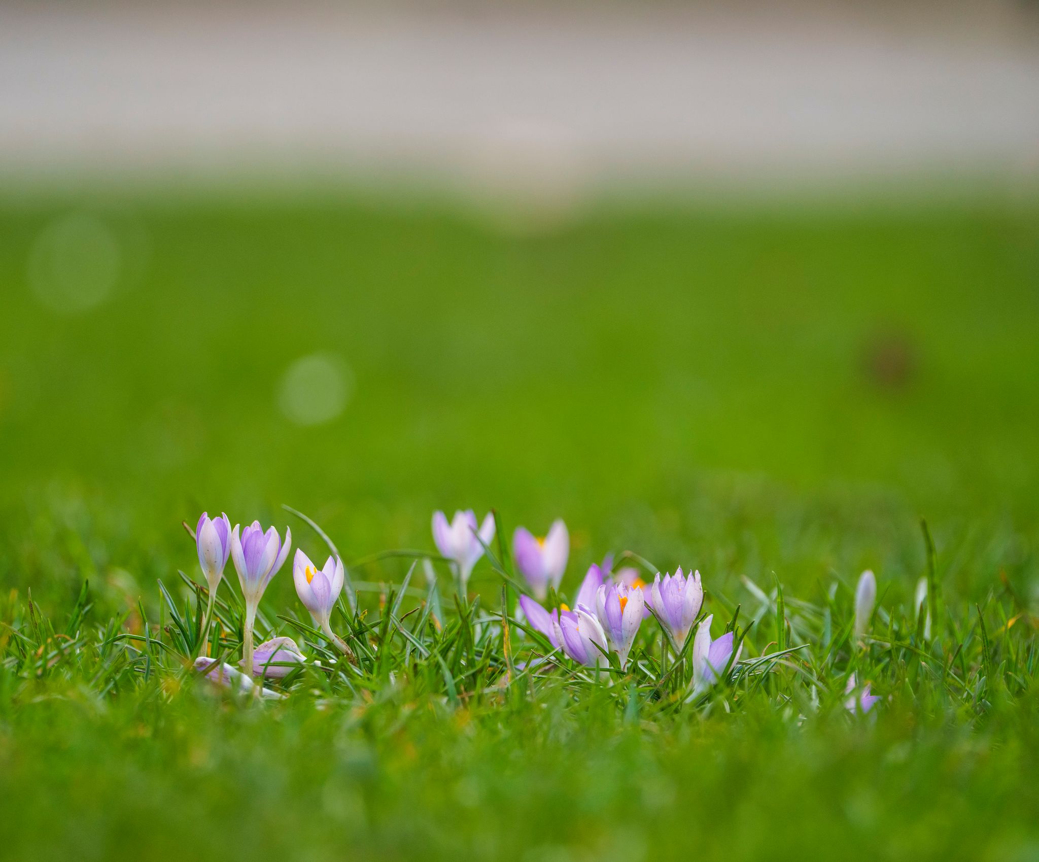 Wetterdienst erwartet milde Tage