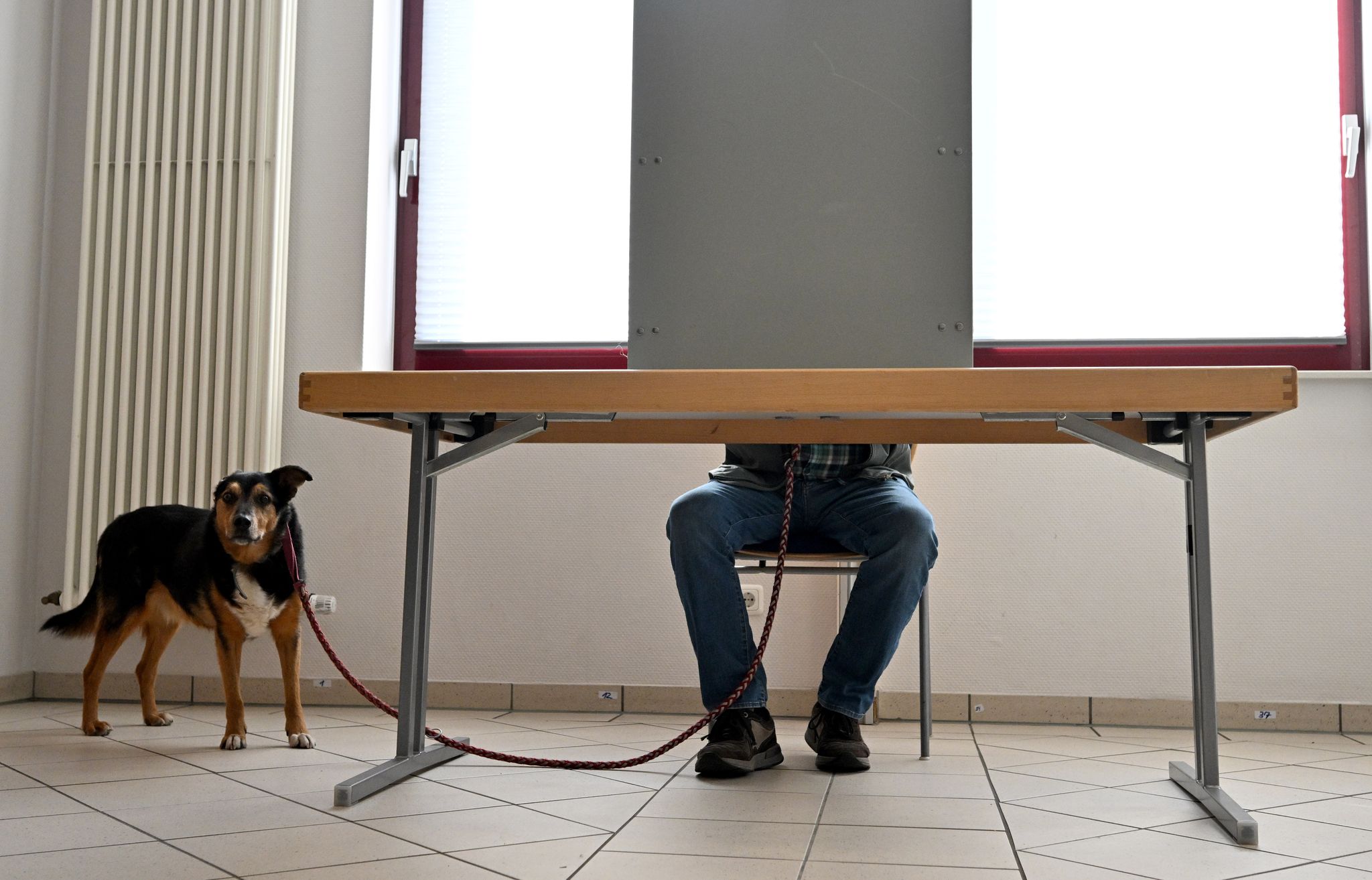 Hochrechnungen: CDU vor SPD in Rheinland-Pfalz