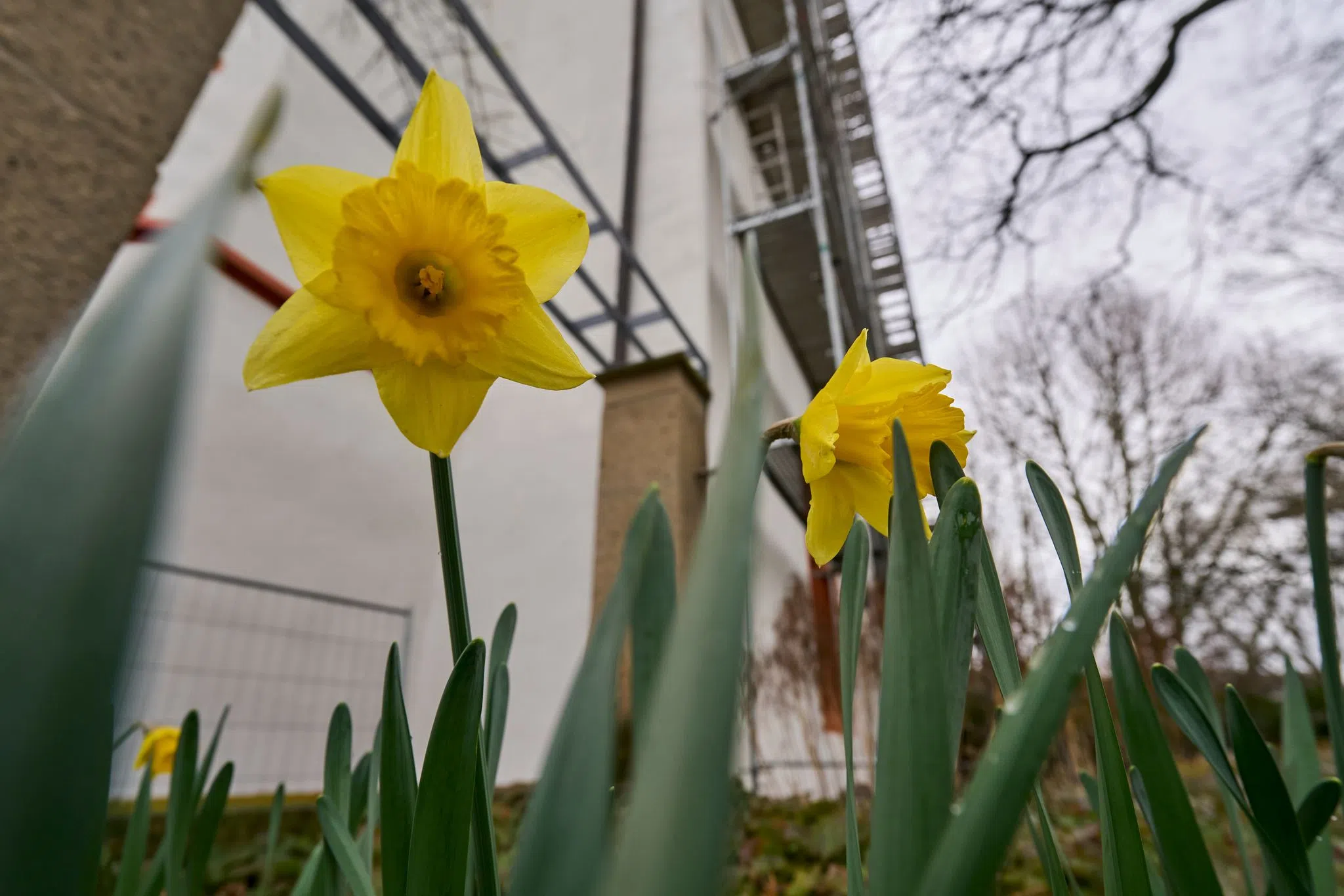 Bis zu 20 Grad am Tag, nachts droht örtlich Frost