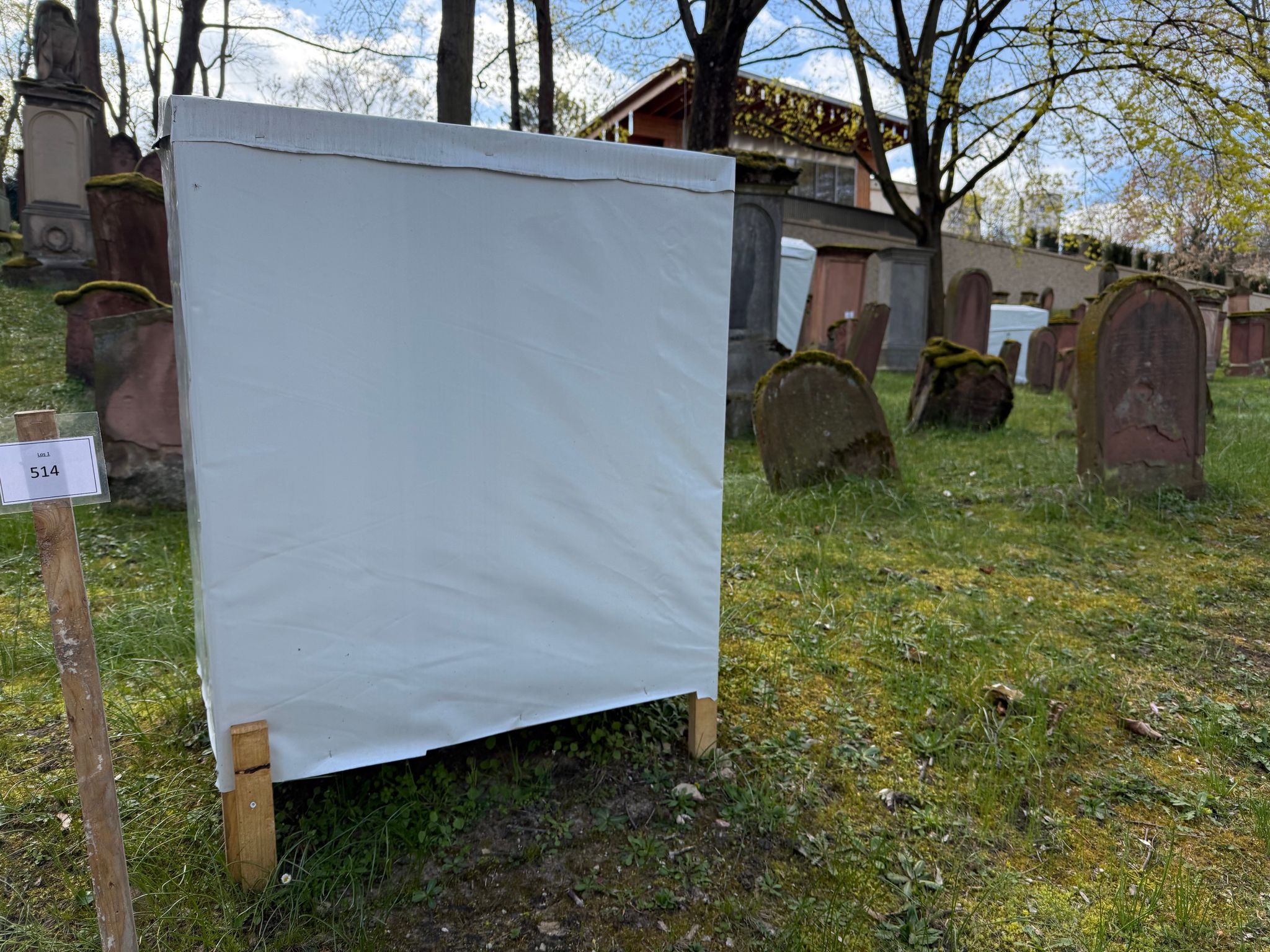 Sanierung unter Hauben auf Altem Jüdischen Friedhof in Mainz