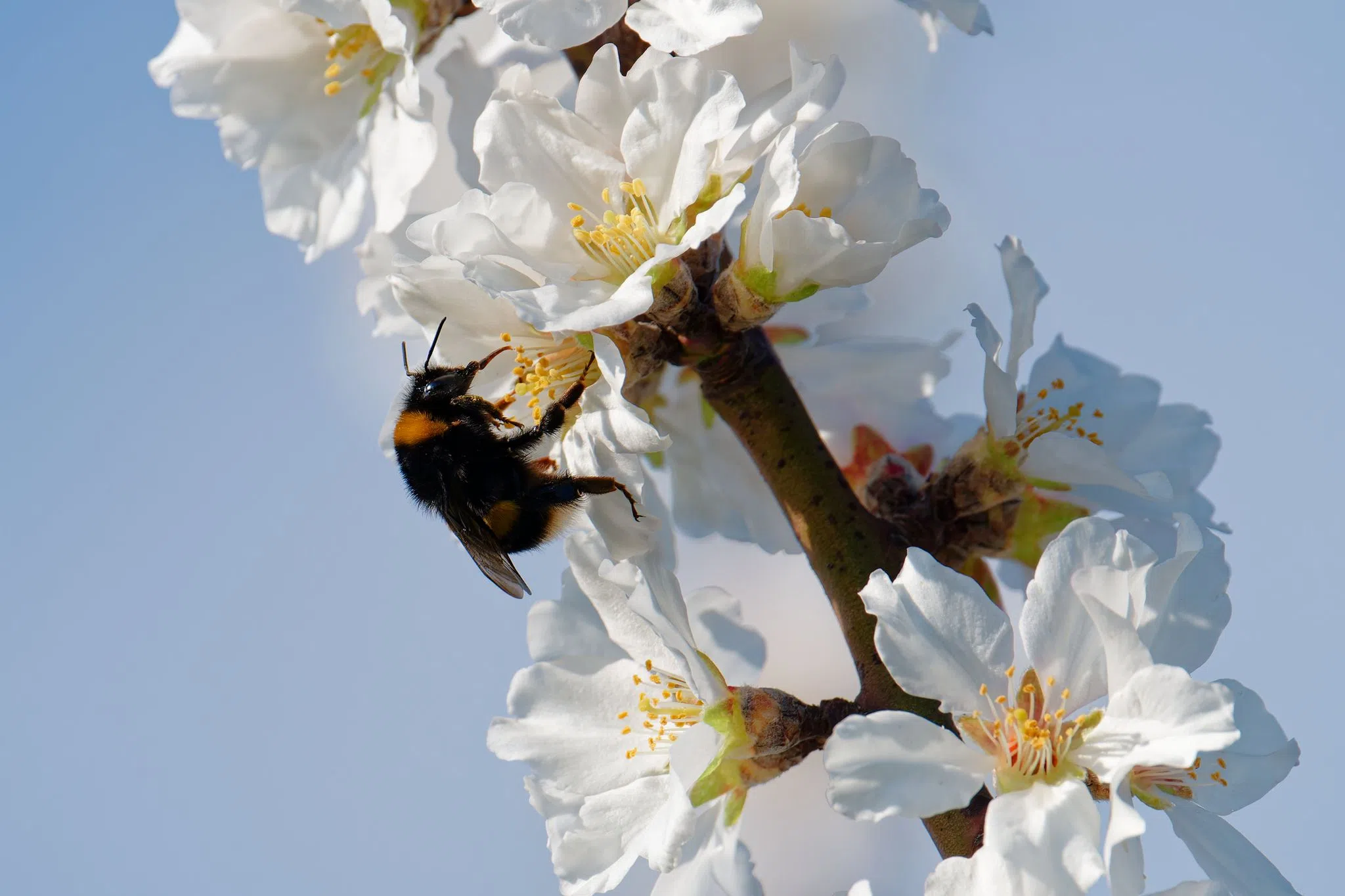 Das Frühlingswetter hält an - sonnig und fast 20 Grad