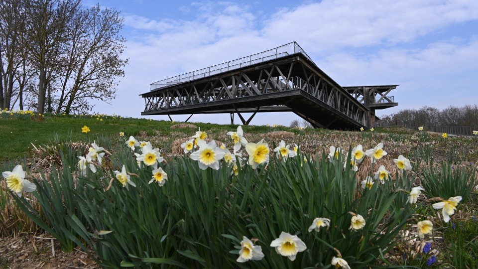 Aussichtsplattform Ehrenbreitstein bleibt geschlossen