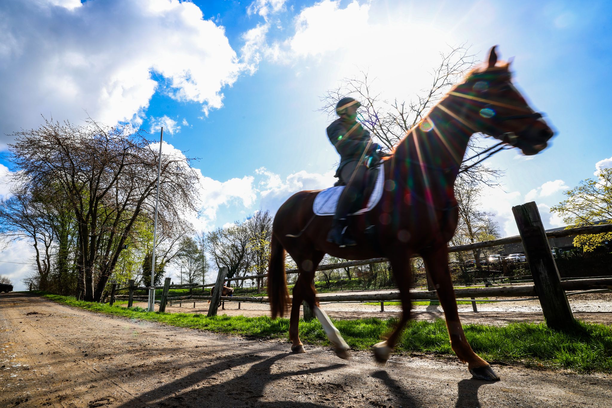 Saarland im März: viel Sonnenschein und wenig Regen