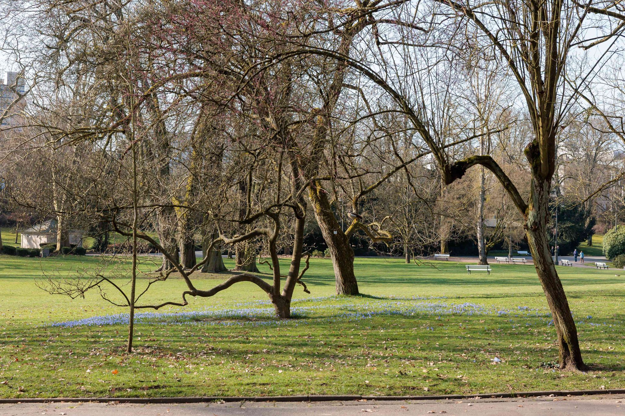 Bis zu 20 Grad am Tag, nachts droht örtlich Frost