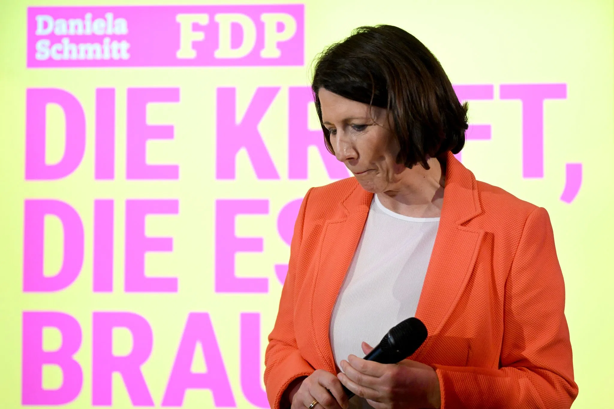 Schmitt zieht sich von FDP-Landesspitze zurück