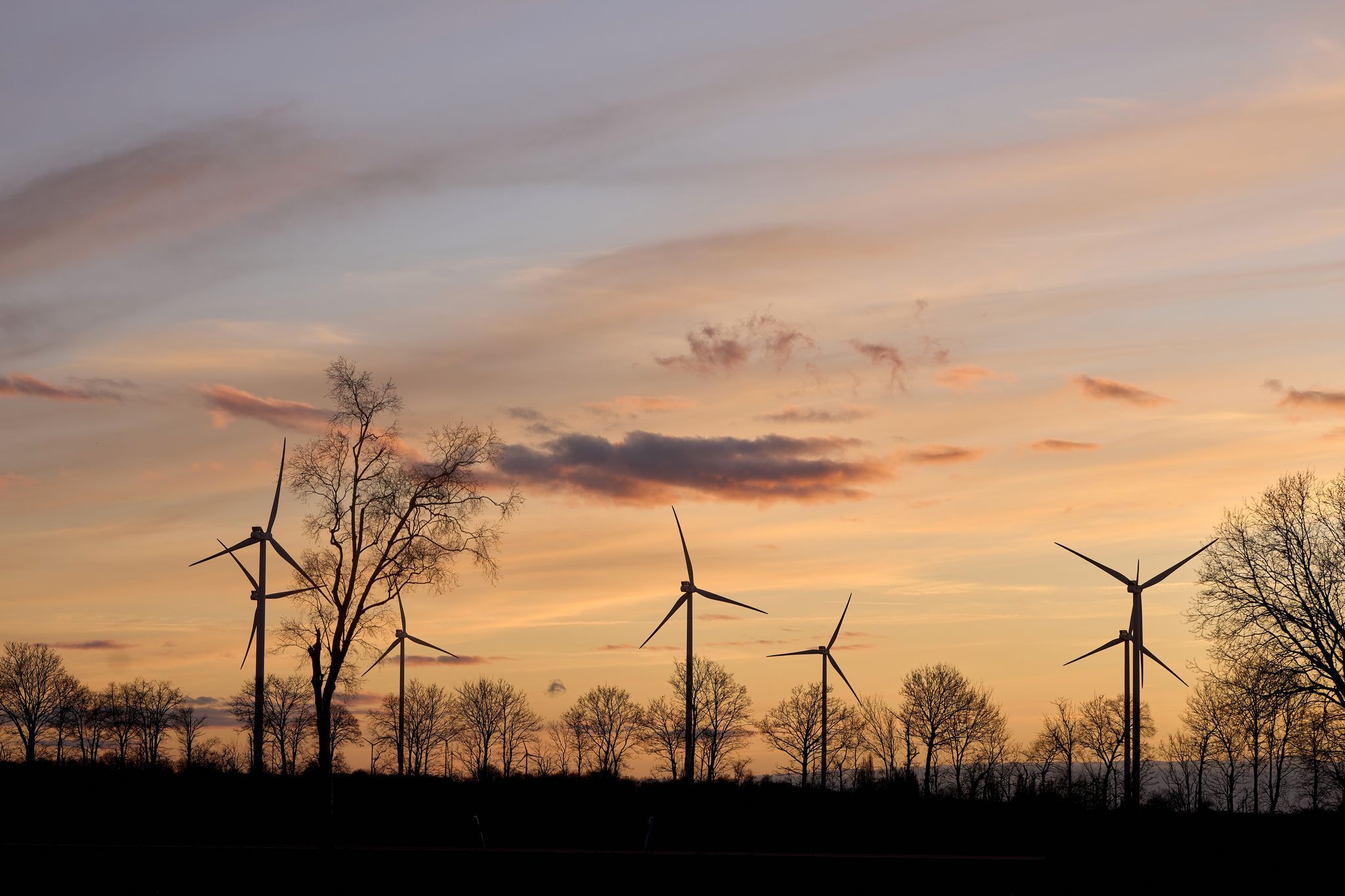 Sonnige Tage in Rheinland-Pfalz und dem Saarland erwartet