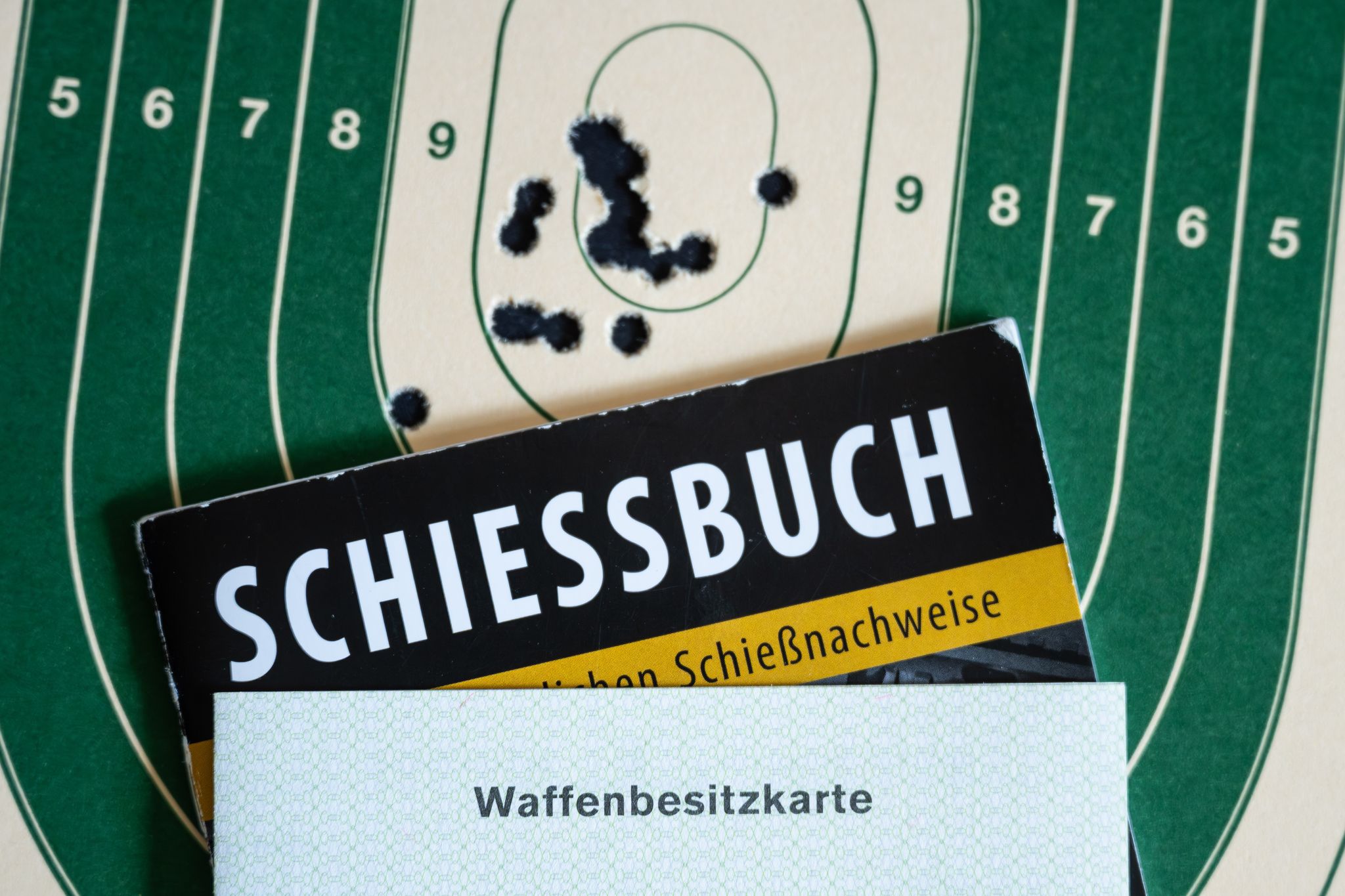 «Reichsbürger» und Rechtsextreme haben mehr Zugang zu Waffen