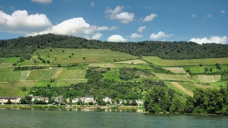 Was ist ein Grundstück wert? Aktuelle Bodenrichtwerte für Rheinland-Pfalz veröffentlicht