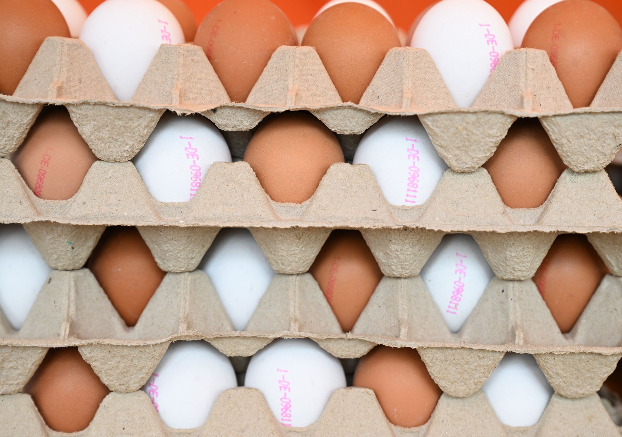 Hat Rheinland-Pfalz genügend Eier zu Ostern?