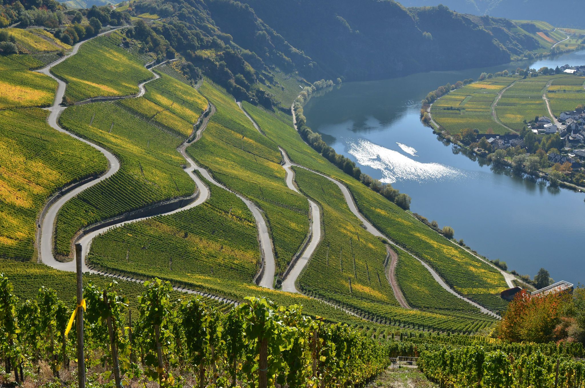 Mehr Touristen in Rheinland-Pfalz - Moselregion beliebt