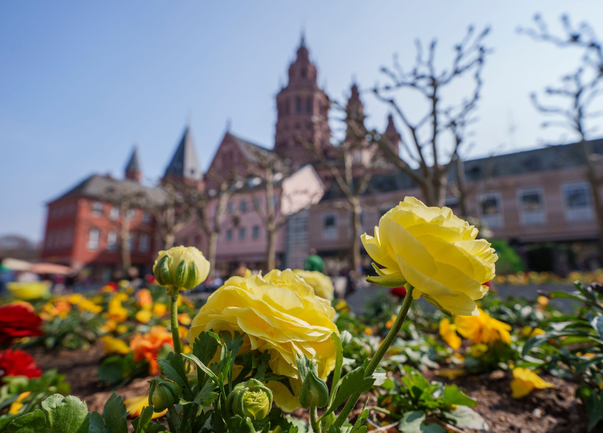 Sonnenschein in Rheinland-Pfalz und dem Saarland Sonnenschein in Rheinland-Pfalz und dem Saarland