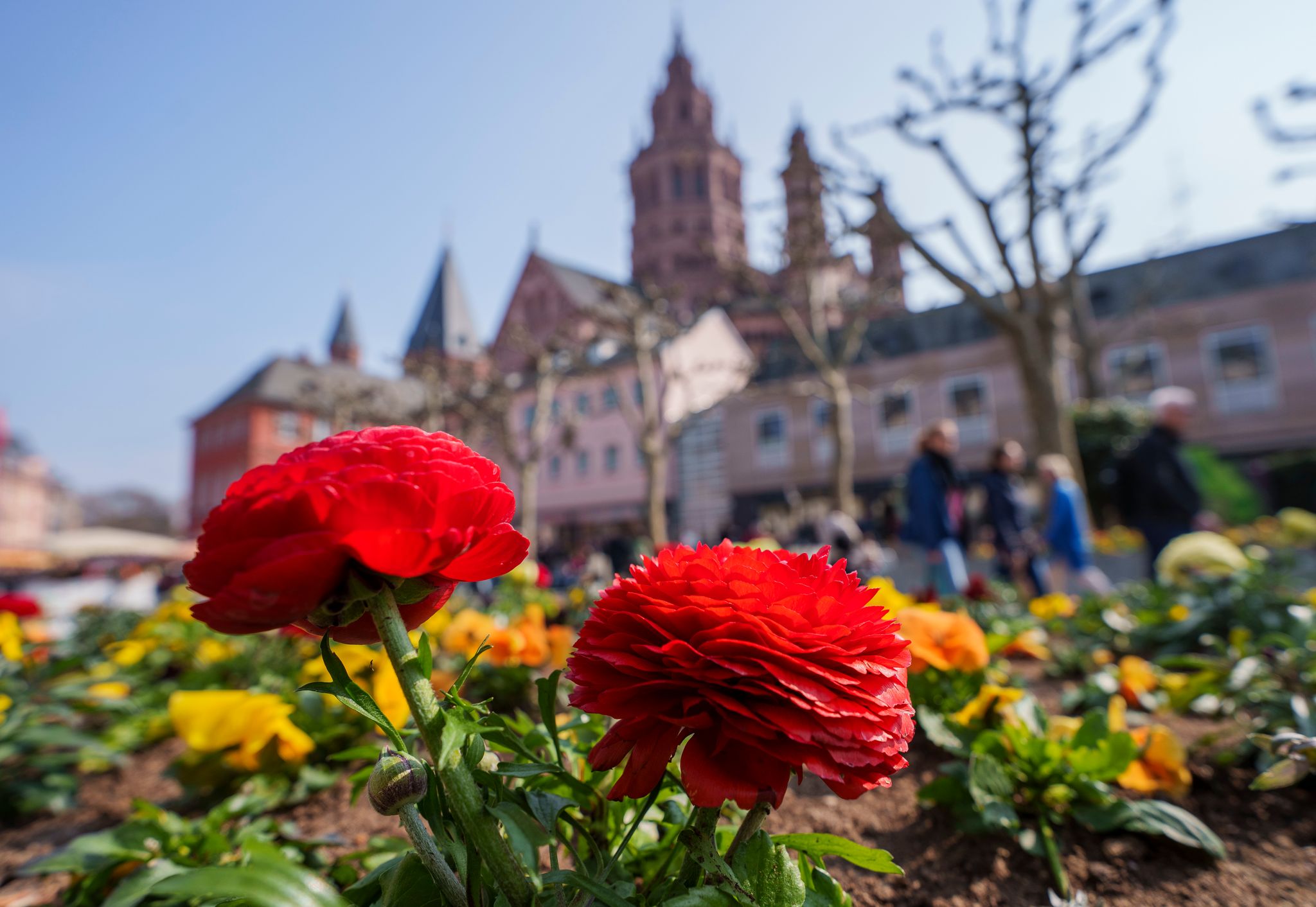 Wind und Sonne zu Ostern in Rheinland-Pfalz und Saarland