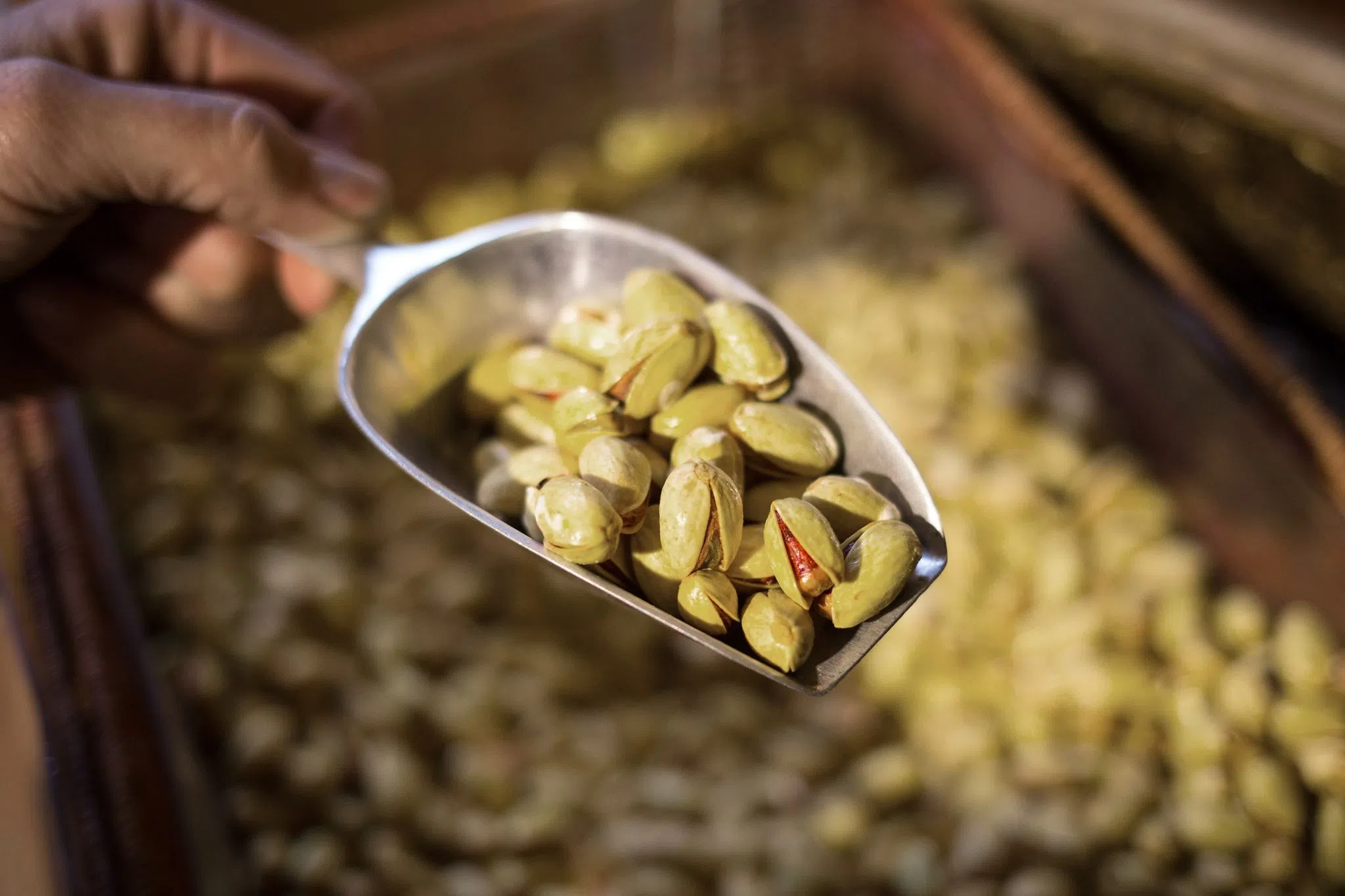 Rückruf von Pistaziencreme wegen Salmonellengefahr