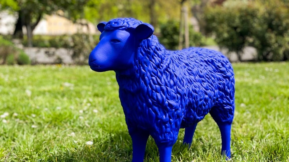 Blaue Schafe als Botschafter des Friedens: Kunstaktion in Braubach vorgestellt