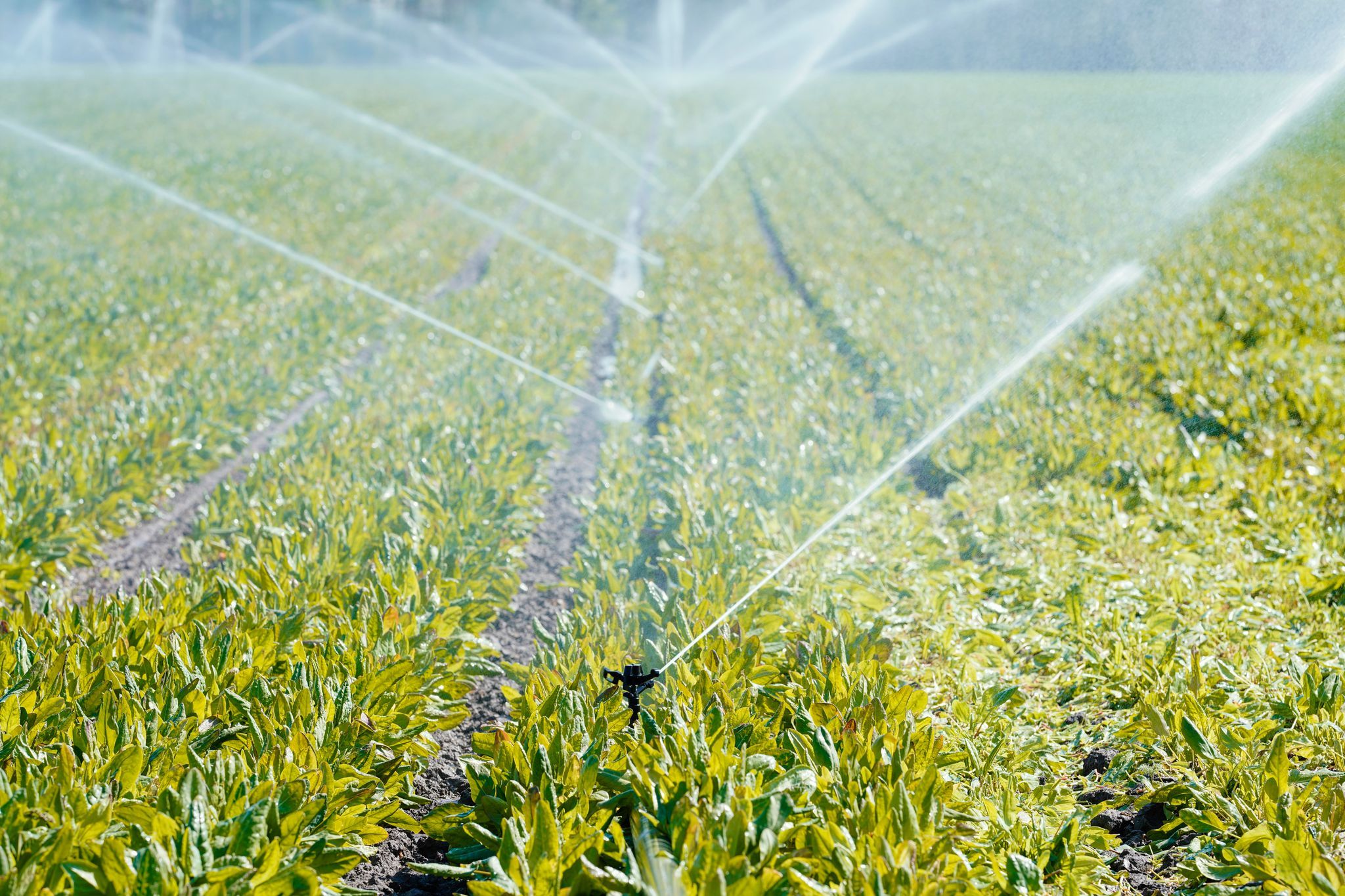 Was Landwirte an Wasserentgelt zahlen und was sie dazu sagen