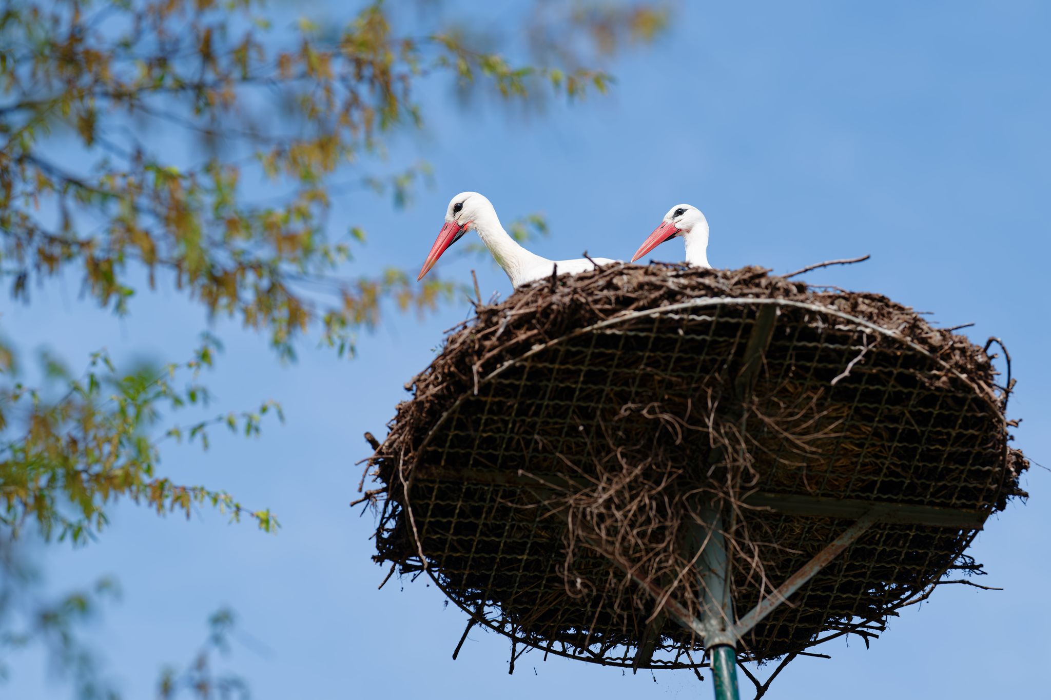 Heiter bis sonnig und warm - bis 23 Grad möglich