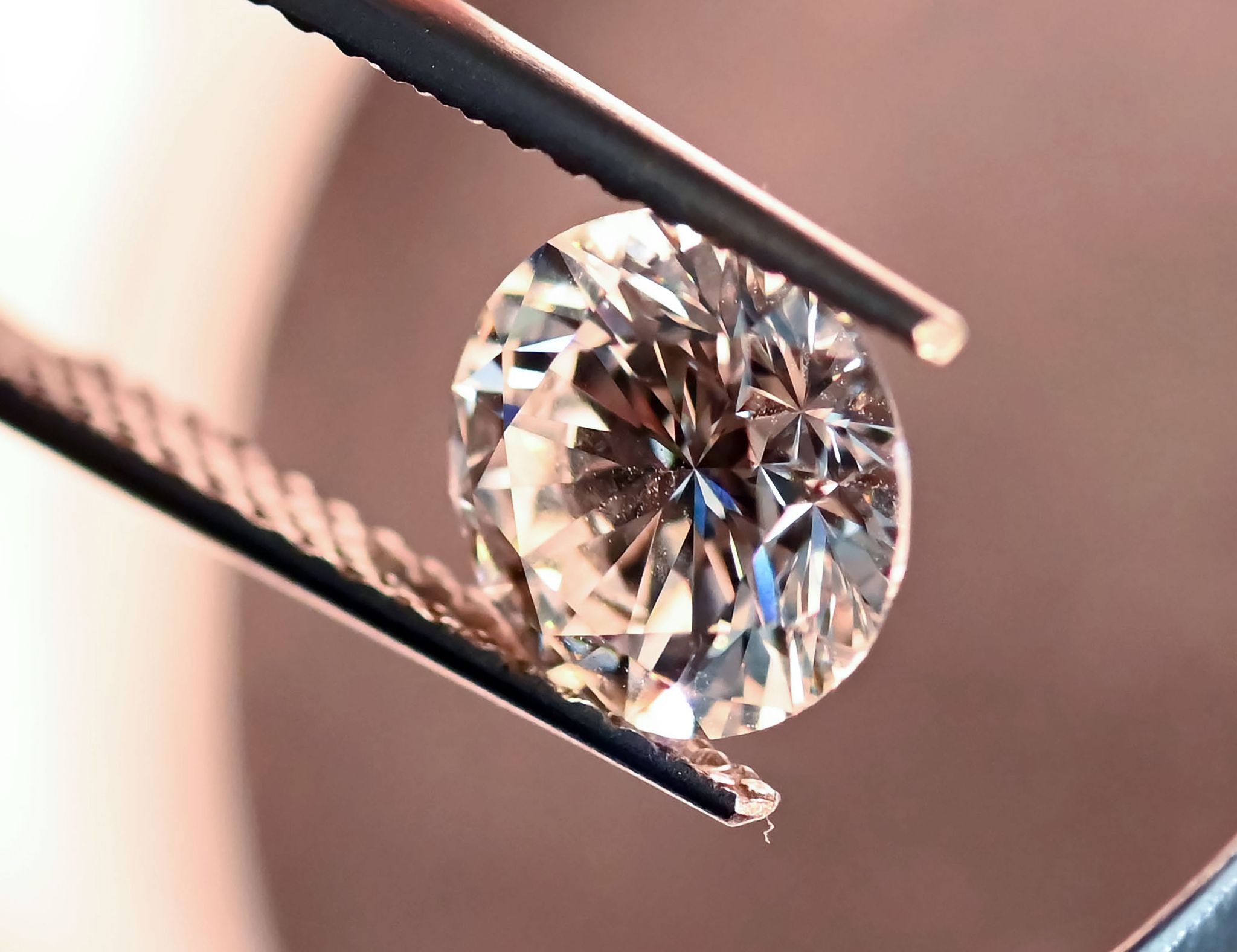 Traditionen aus Rheinland-Pfalz auf dem Weg zum Kulturerbe