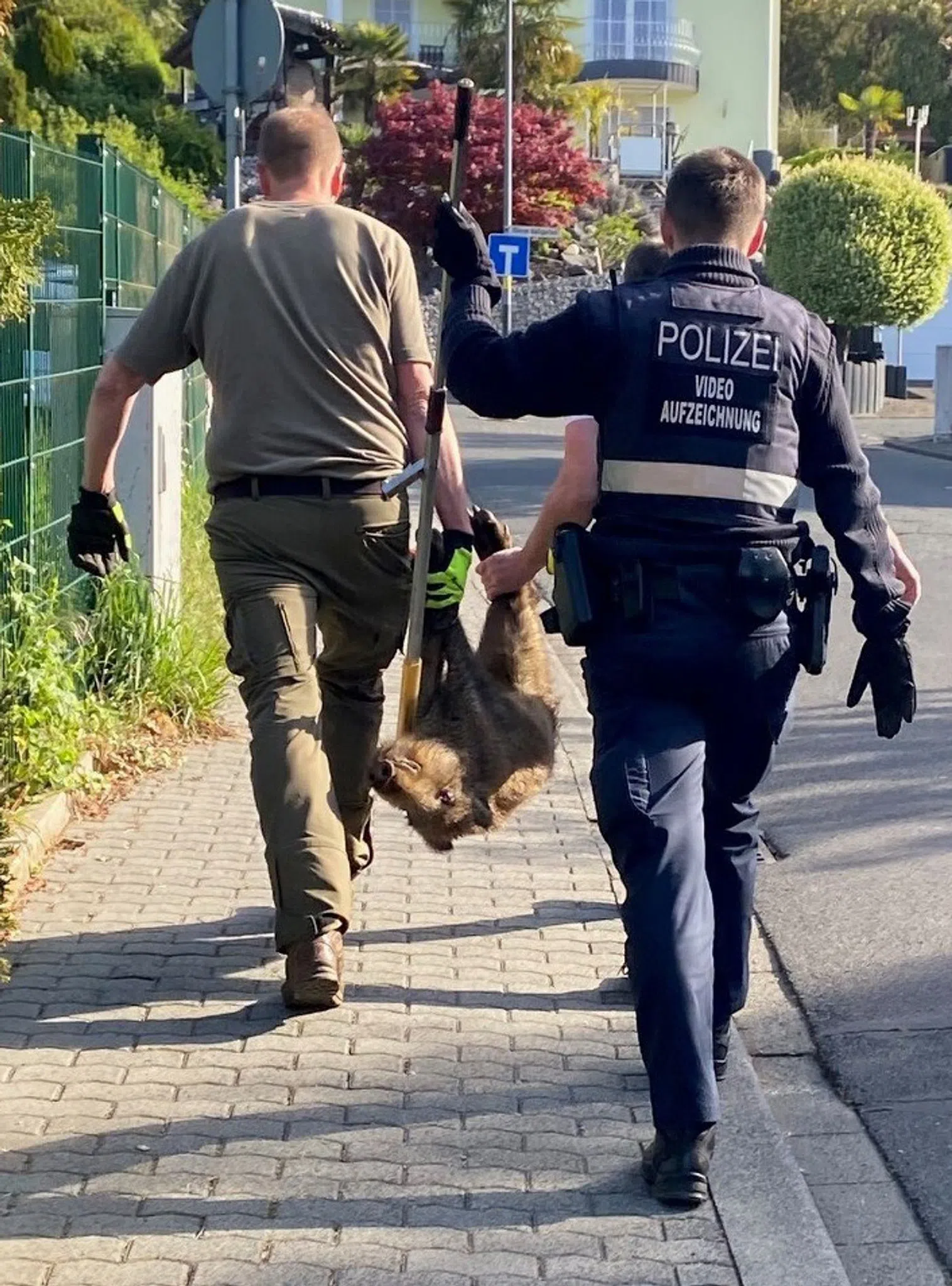 Polizei und Jäger retten Wildschwein aus Schulzaun