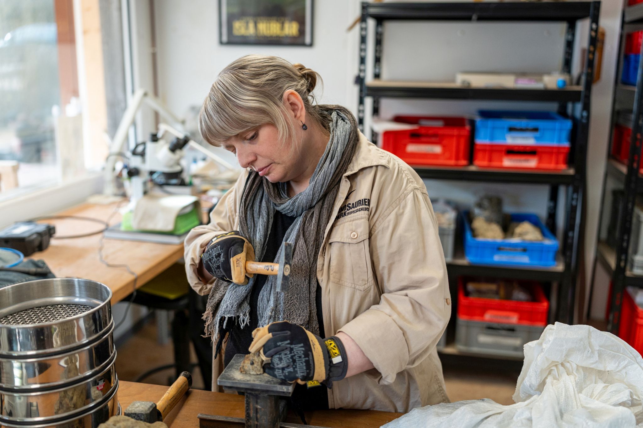 Erster Dinosaurier in Rheinland-Pfalz nachgewiesen
