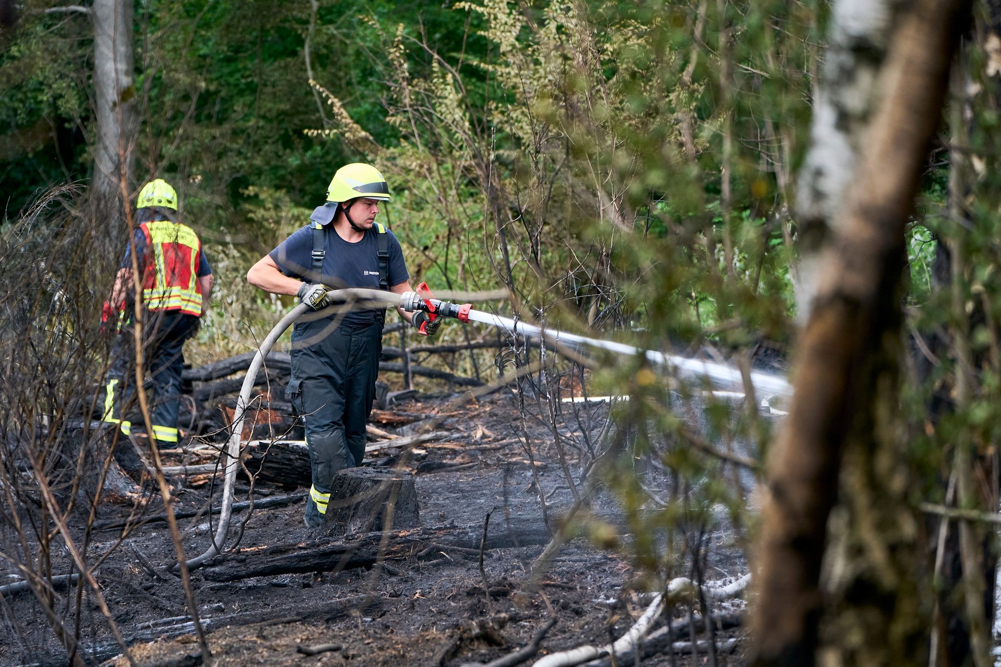 Waldbrandgefahr in Rheinland-Pfalz steigt