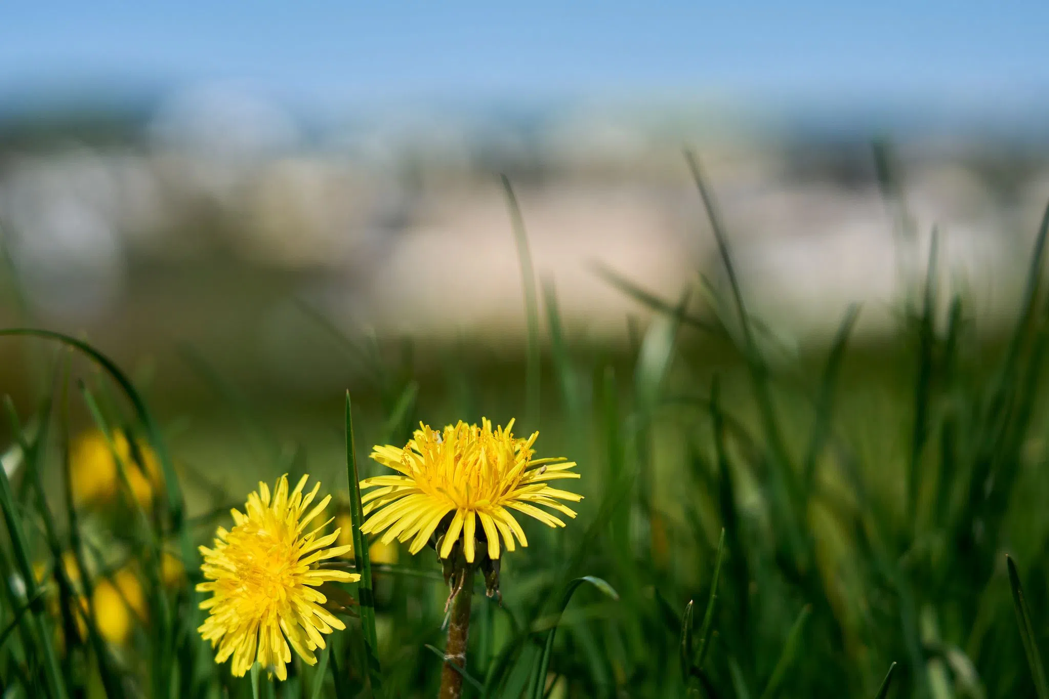 Warmes und trockenes Frühlingswetter an Rhein und Saar