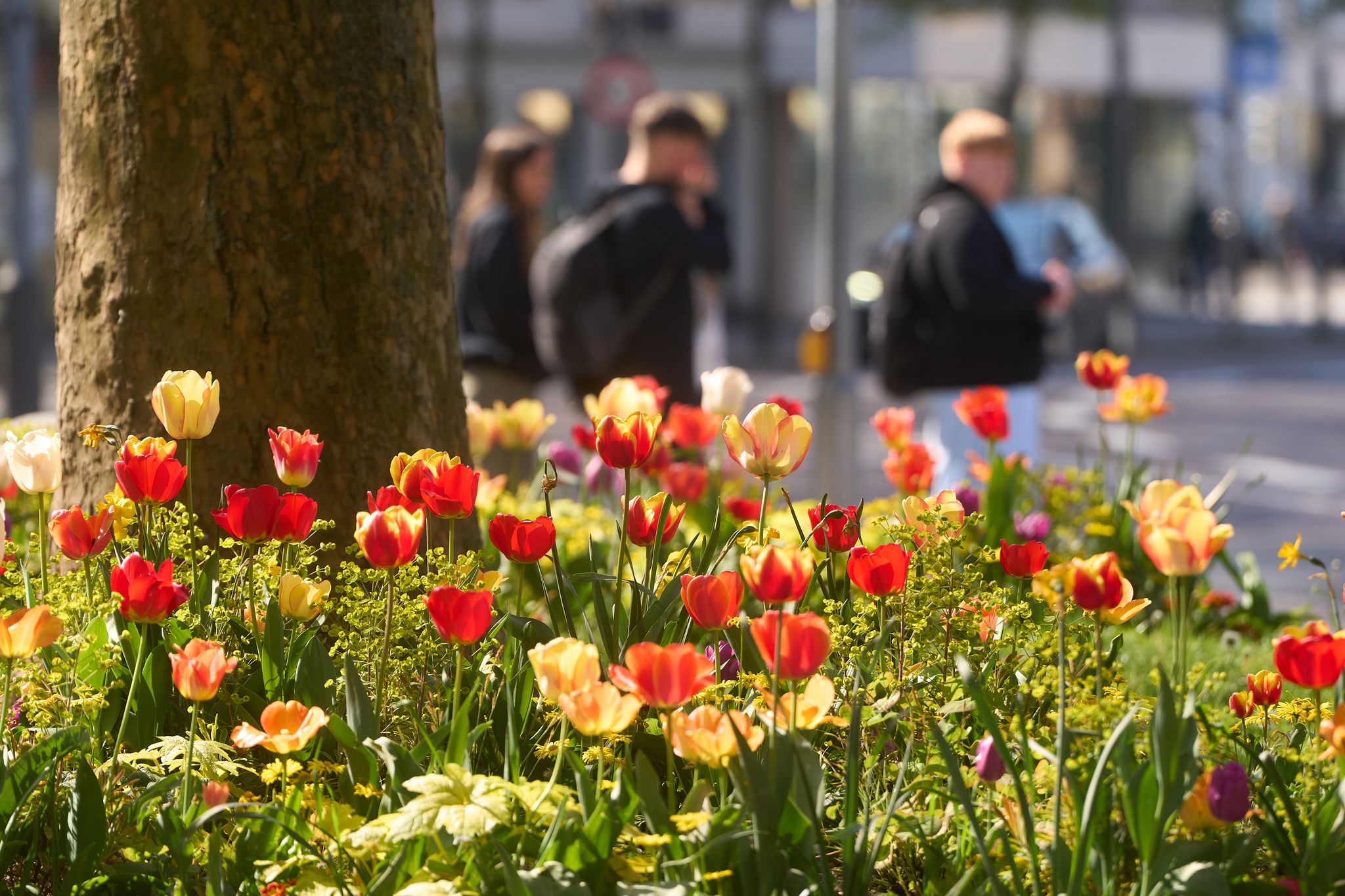 Temperaturen bis 23 Grad in Rheinland-Pfalz und im Saarland