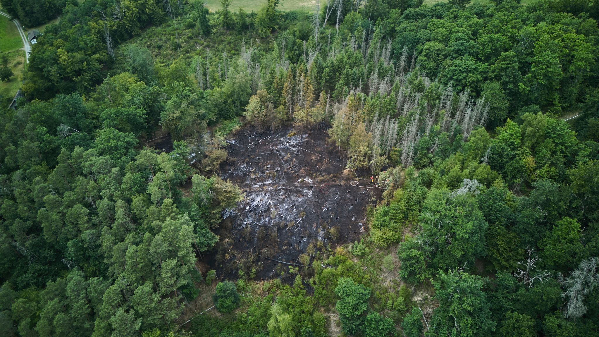 Frühling bringt Waldbrandgefahr nach Rheinland-Pfalz