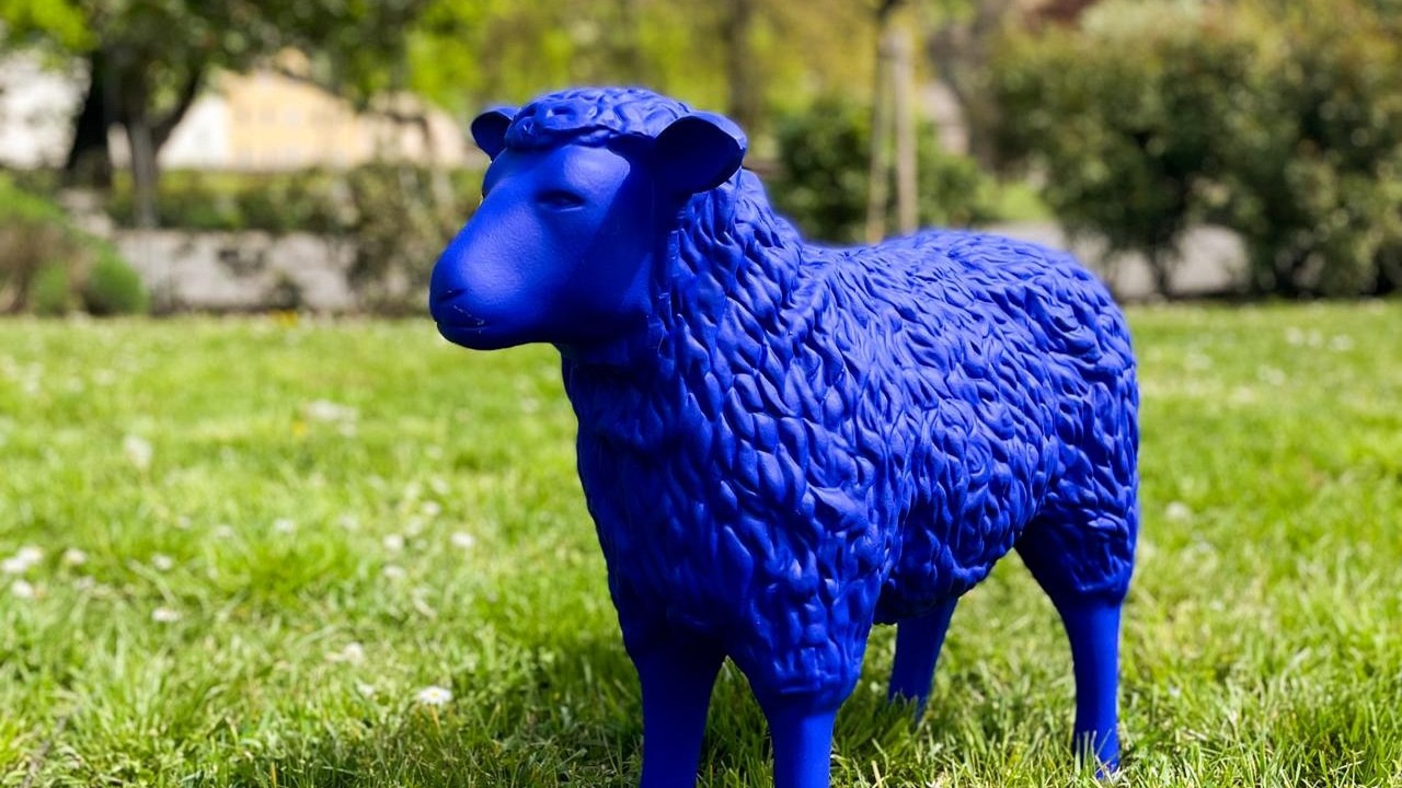 Blaue Schafe als Botschafter des Friedens: Kunstaktion in Braubach vorgestellt