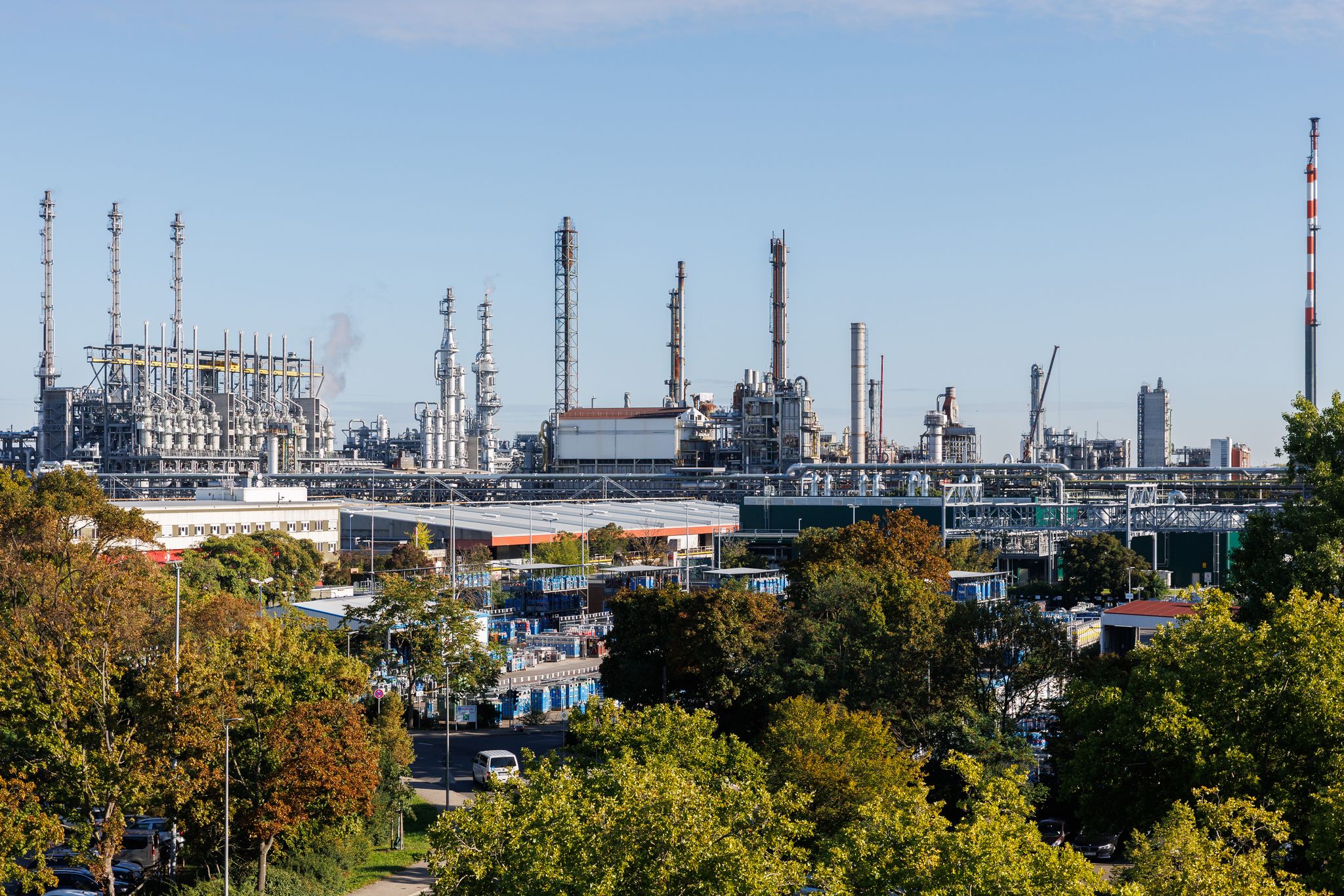 Gesucht: Bäume für die Stadt von morgen