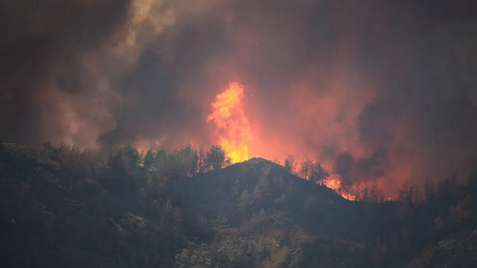Frühe Trockenheit sorgt für steigende Waldbrandgefahr in Rheinland-Pfalz