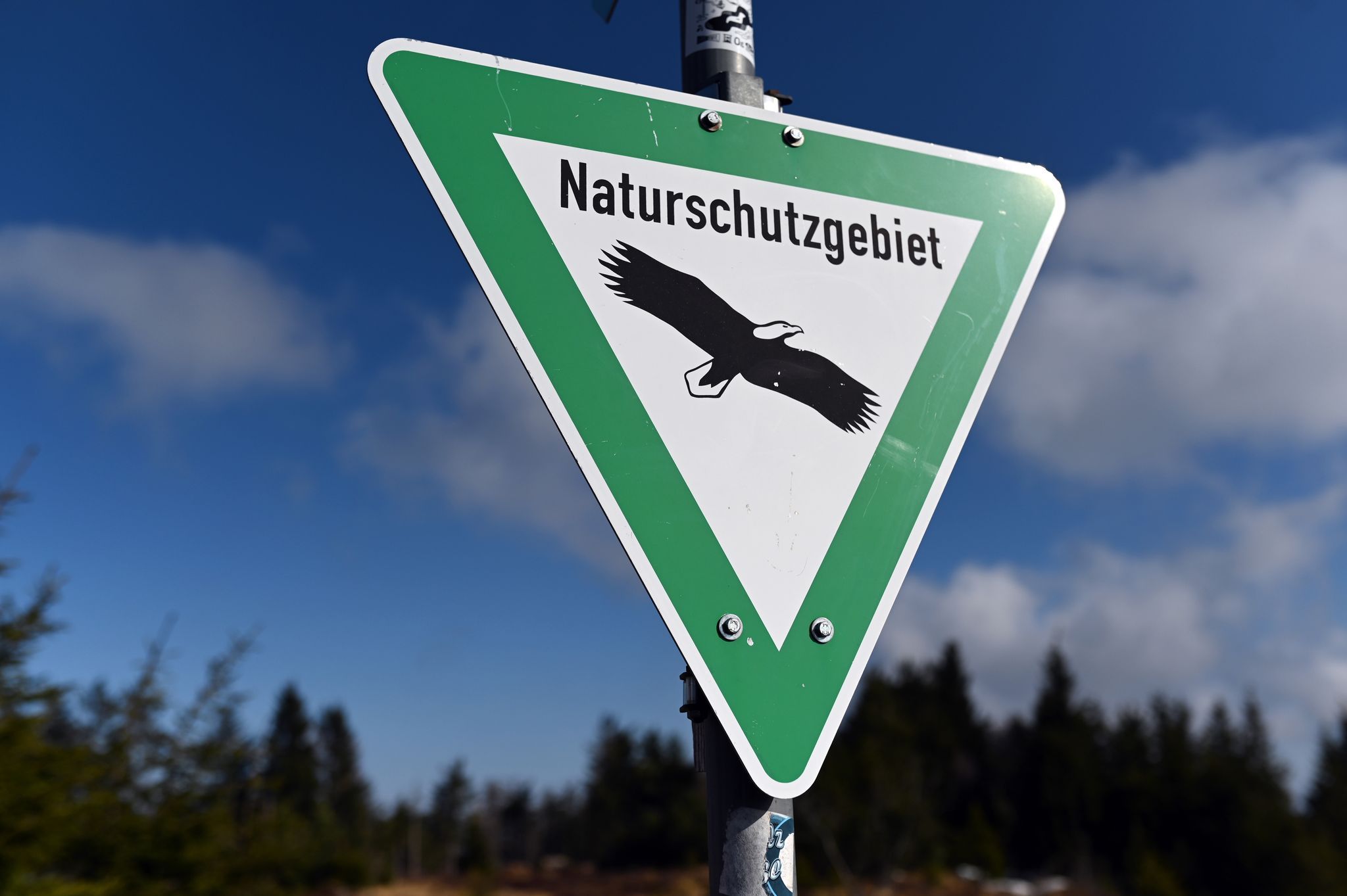 Naturschützer warnen: Wasservögel auf der Nahe in Gefahr