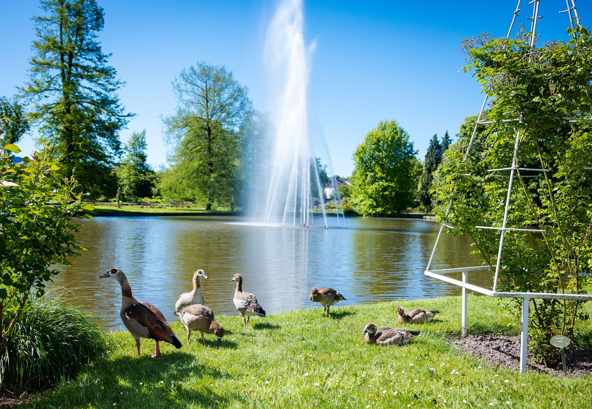 DWD: Milder und sonniger Frühling in Rheinland-Pfalz