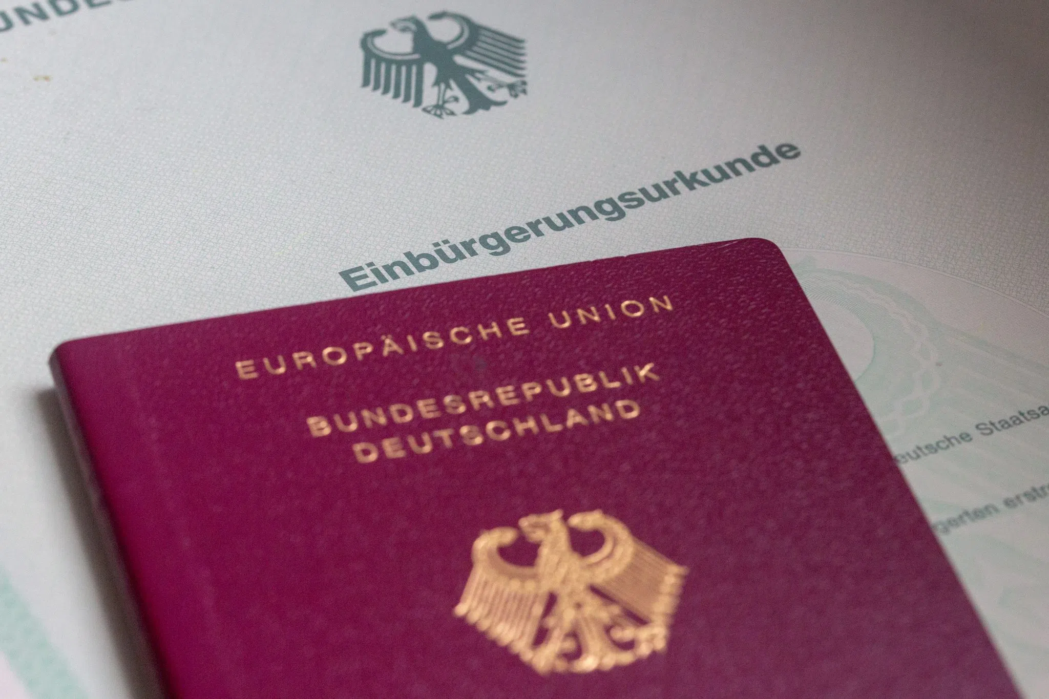 Deutlich mehr Einbürgerungen in Rheinland-Pfalz