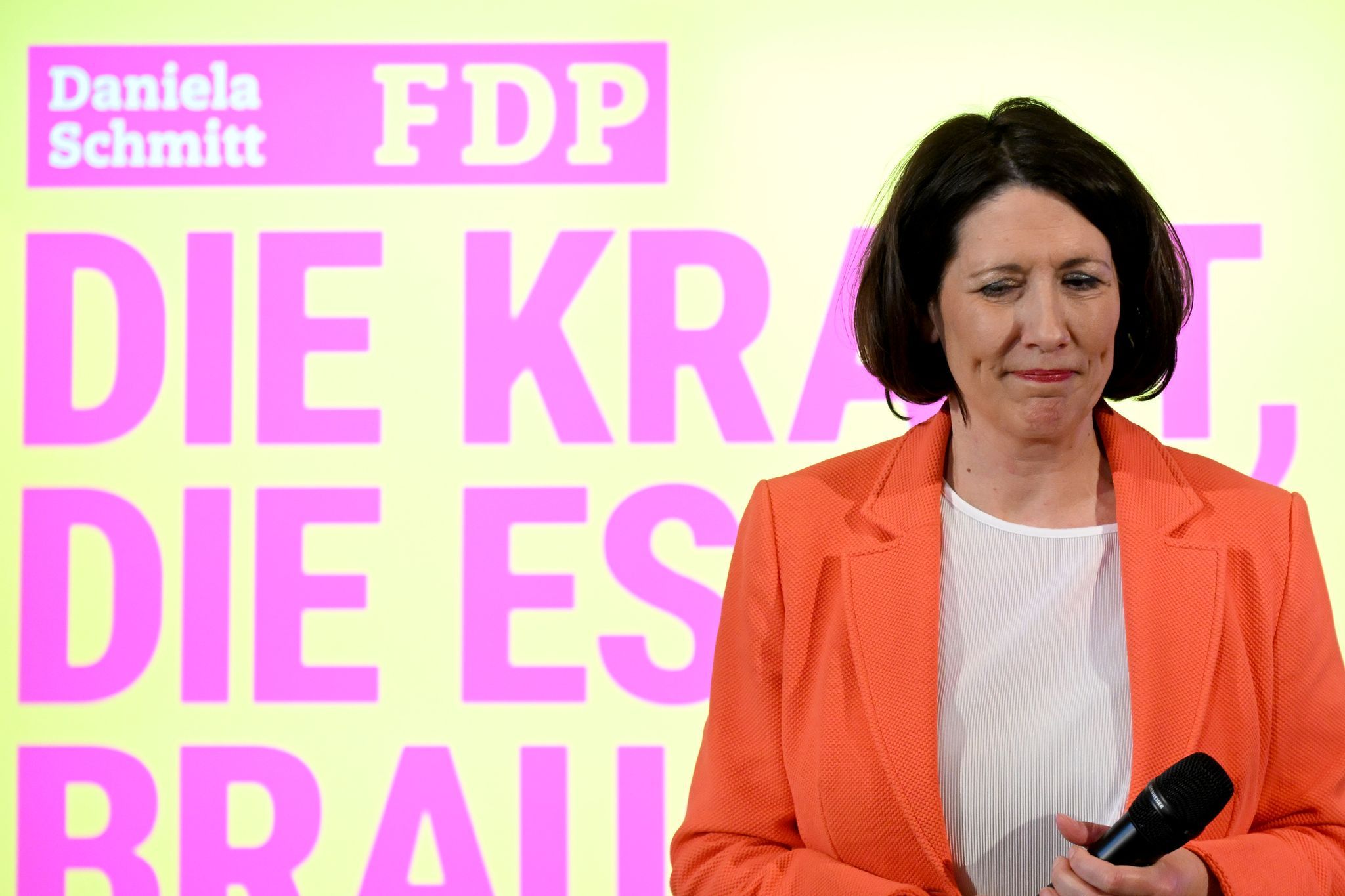 Rheinland-pfälzische FDP wählt neue Parteispitze