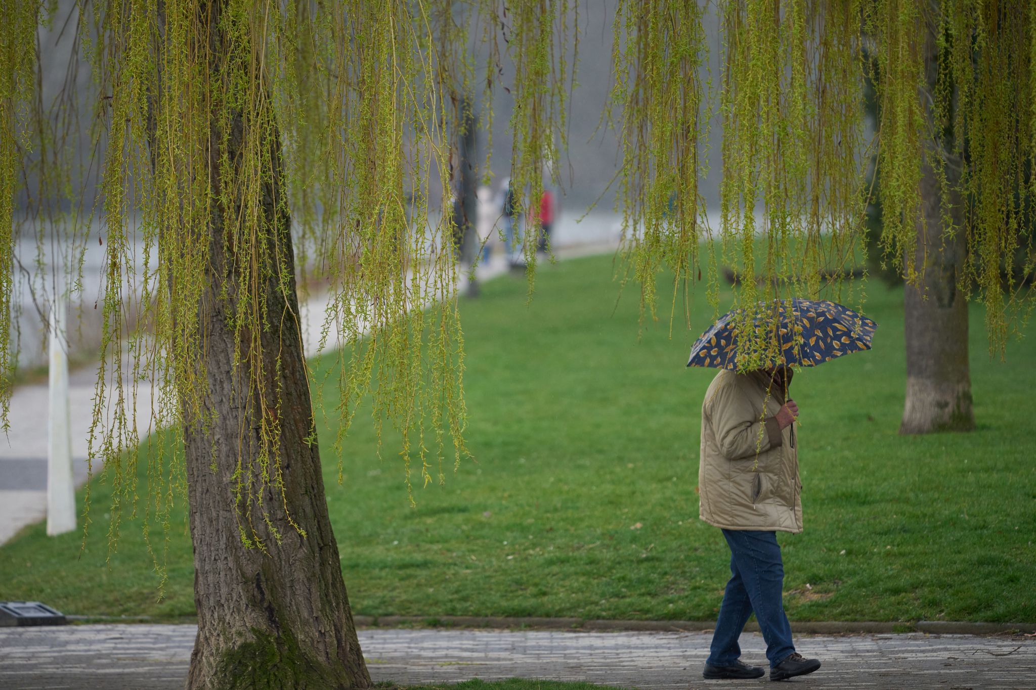 Neue Woche startet ungemütlich mit Gewitter
