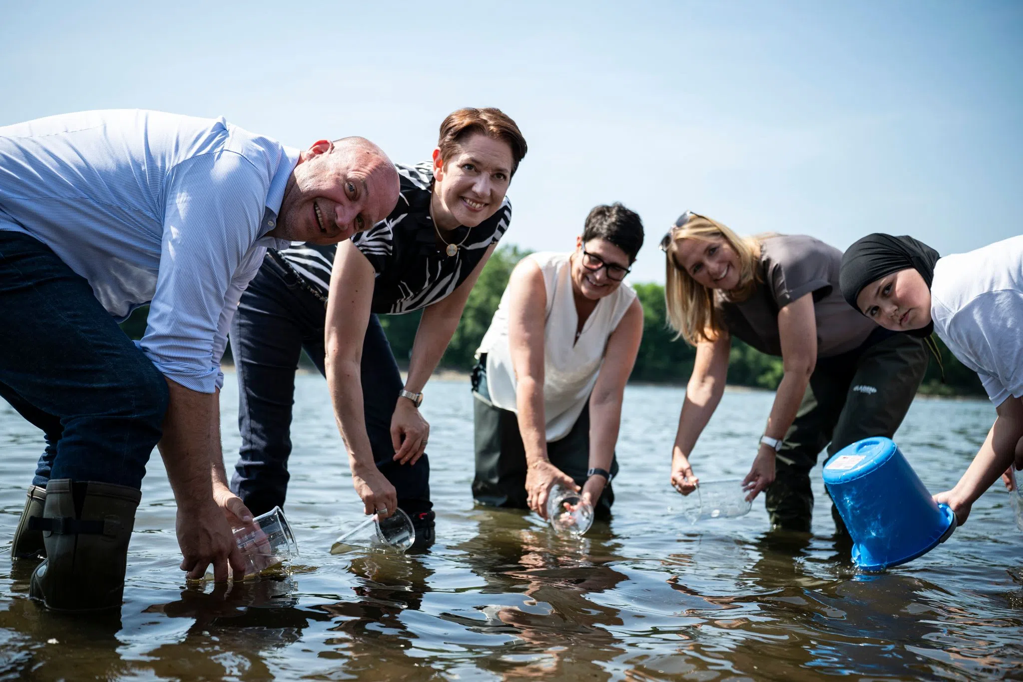 Maifischlarven starten ihre große Reise im Rhein