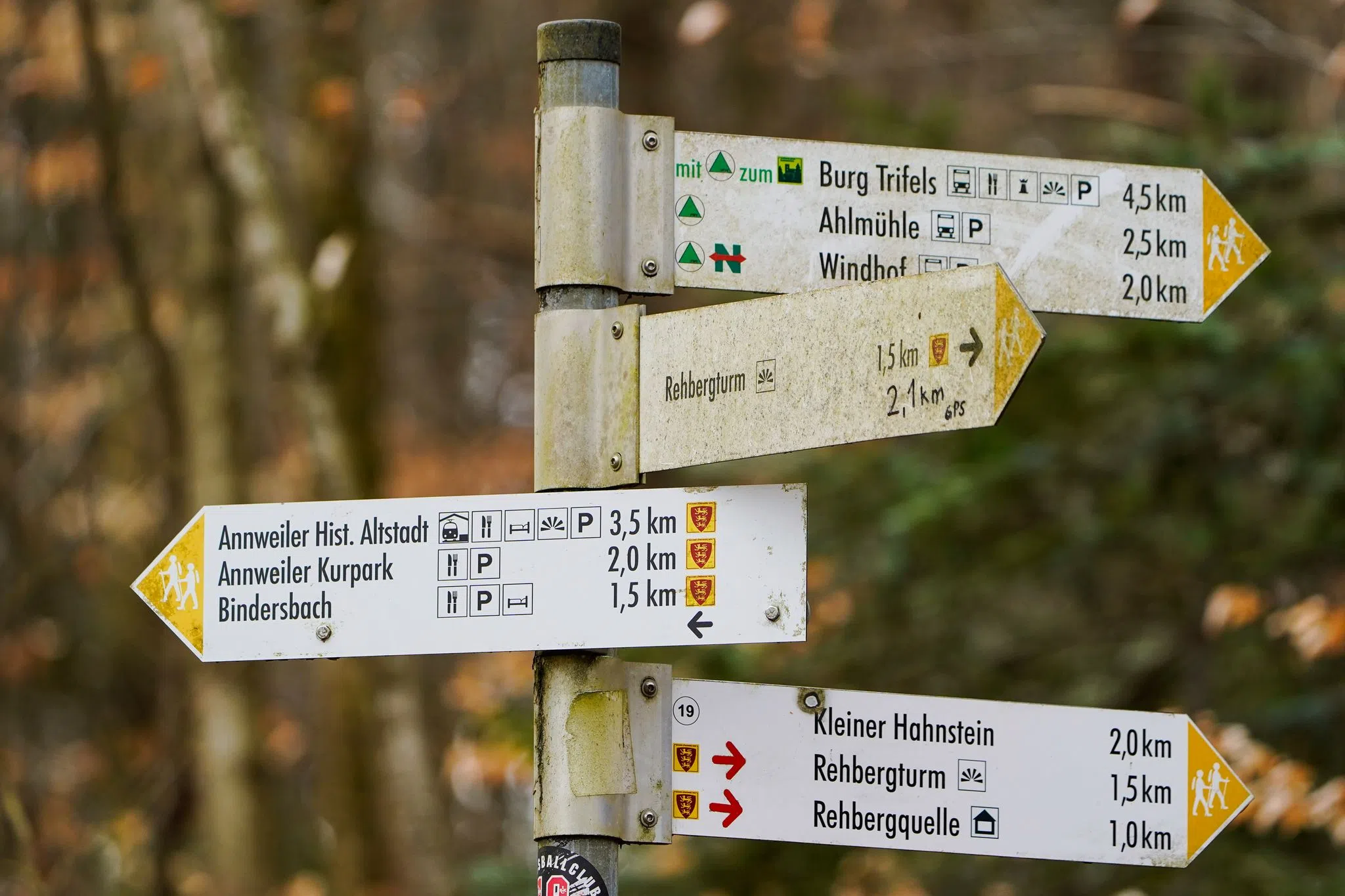 83 Jahre alter Wanderer nach Sturz im Pfälzerwald gerettet 83 Jahre alter Wanderer nach Sturz im Pfälzerwald gerettet