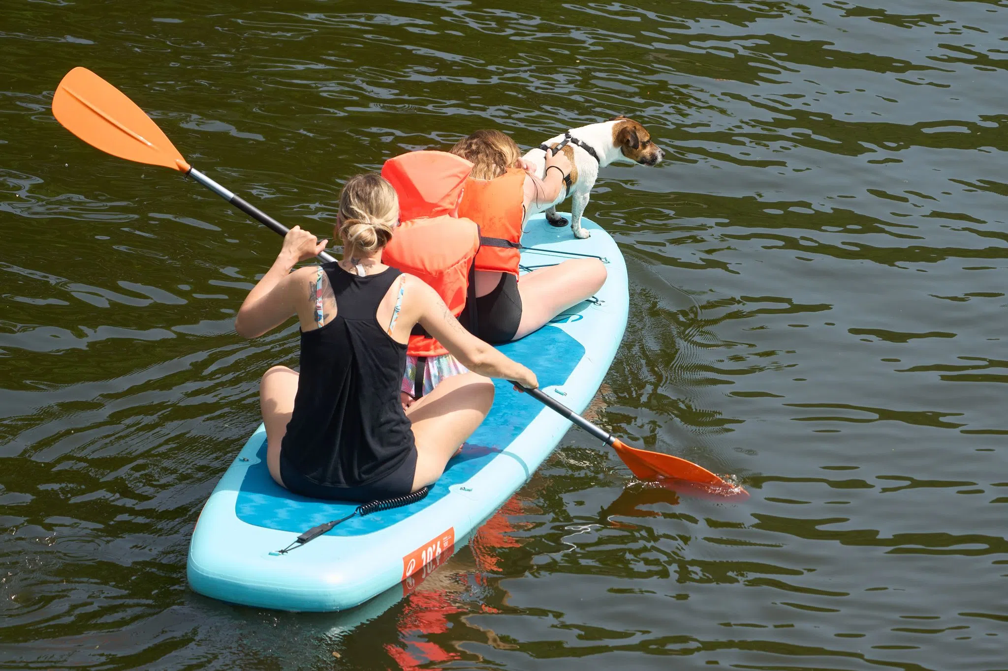 30-Grad-Marke an Rhein und Saar mehrfach geknackt
