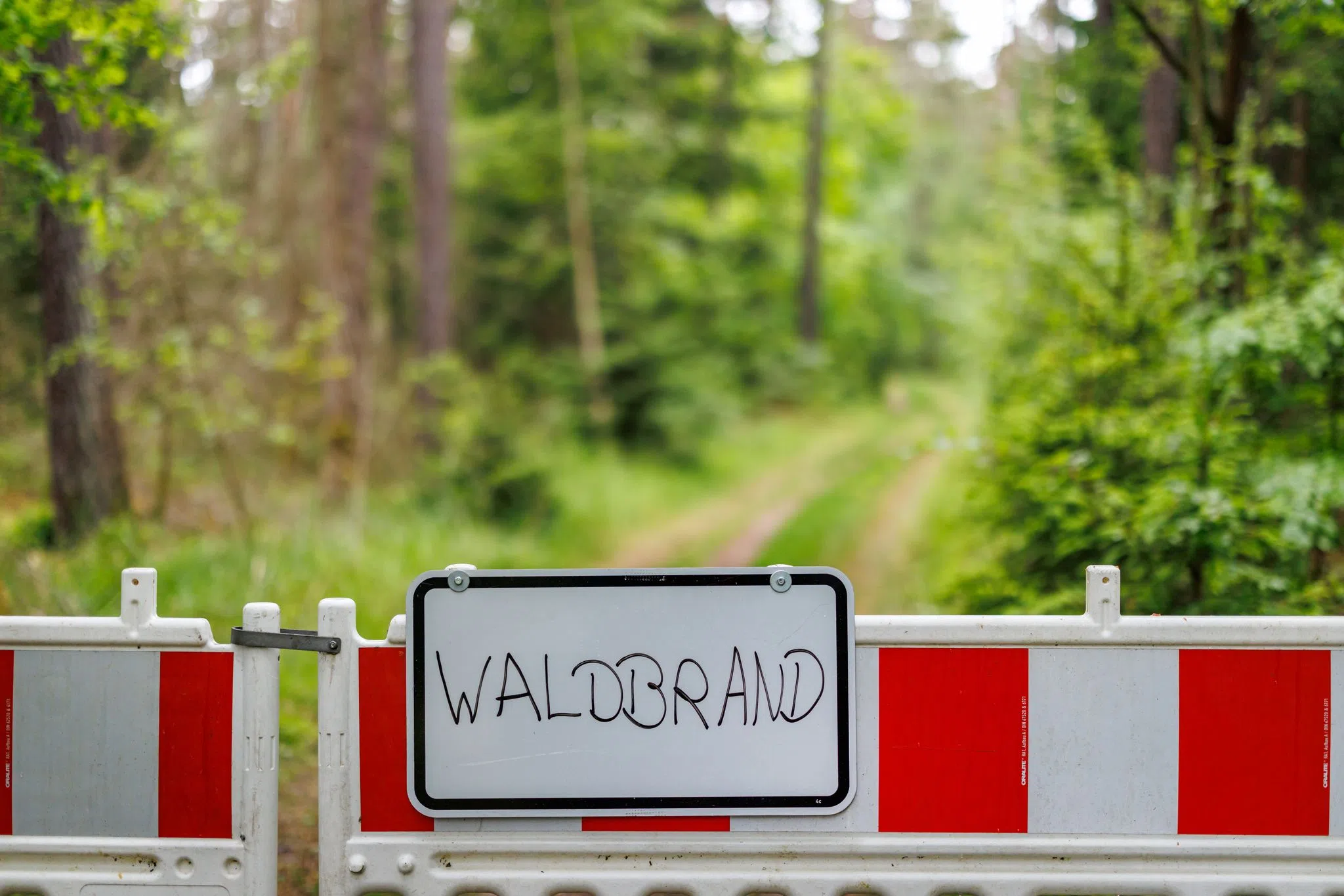 160 Feuerwehrleute bei Waldbrand im Saarland im Einsatz