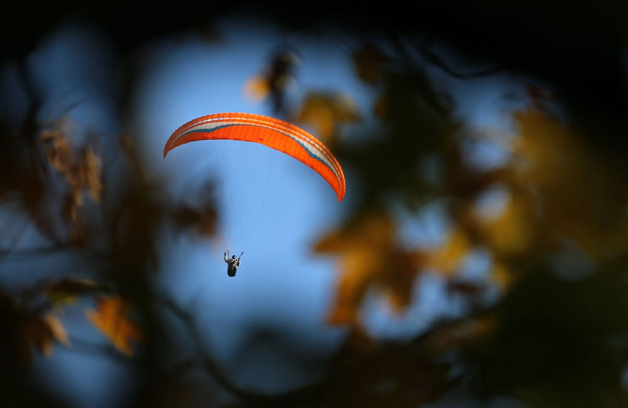 Gleitschirmflieger bleibt in Baum hängen Gleitschirmflieger bleibt in Baum hängen
