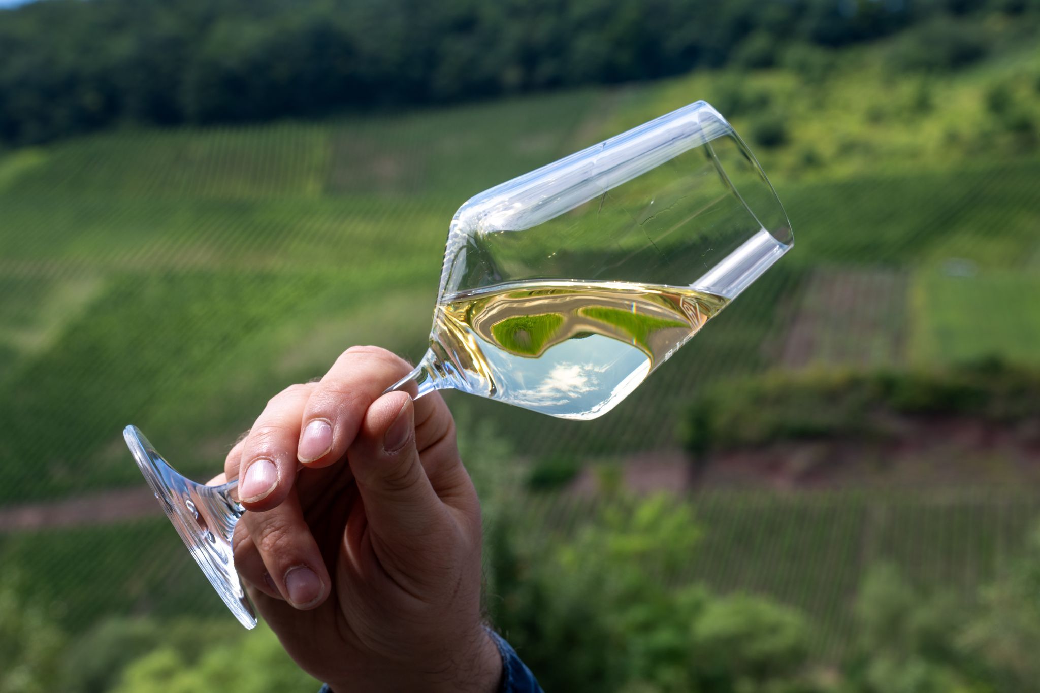 Fast vier Millionen Liter weniger Moselwein