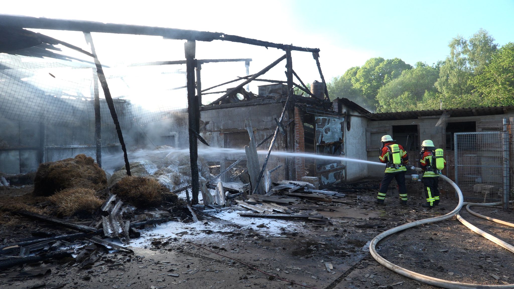 Großbrand auf Geflügelhof: Rettung für 2.000 Hennen läuft