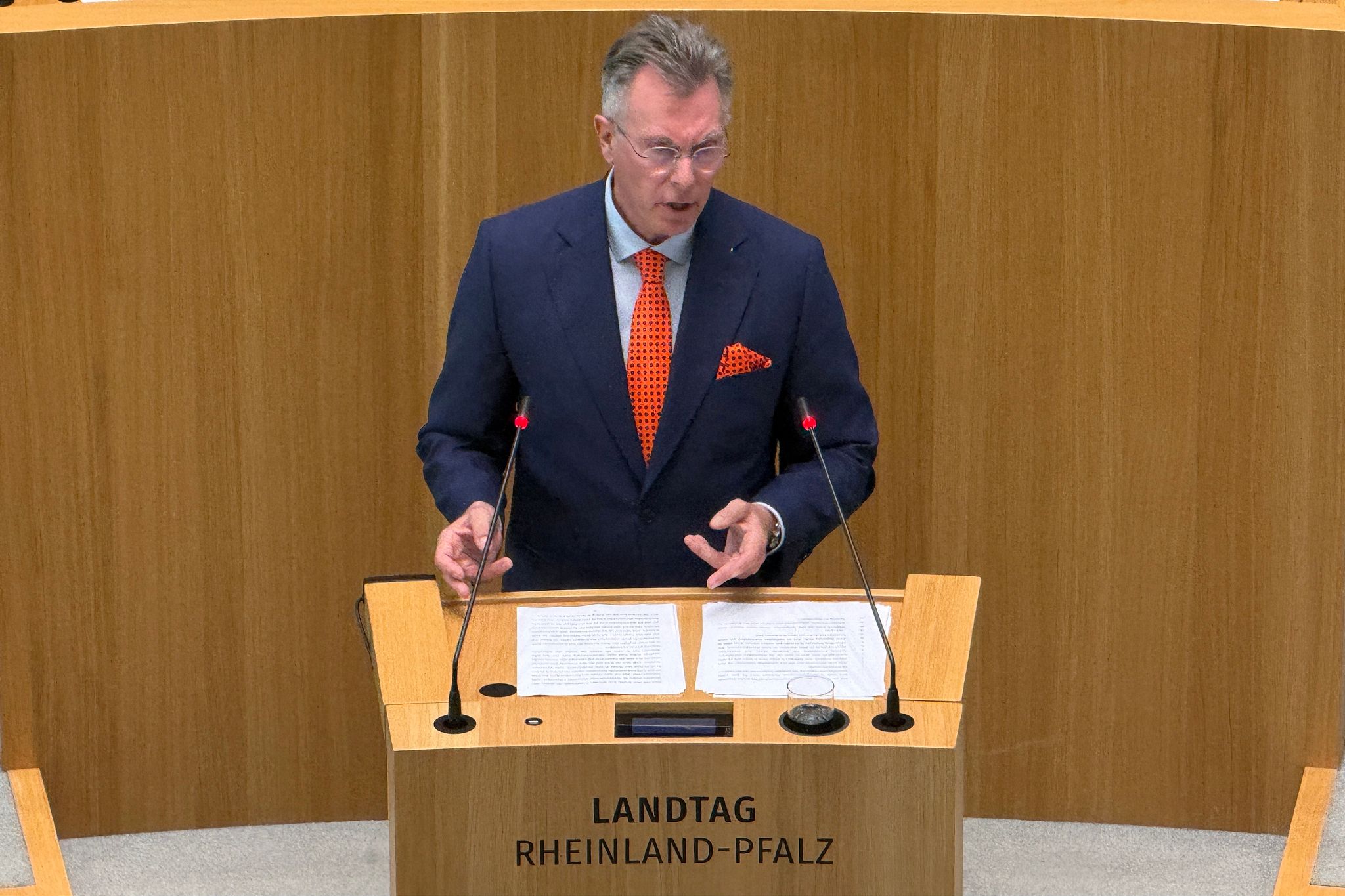 AfD-Fraktionschef: «Wolkige Versprechungen» der Regierung