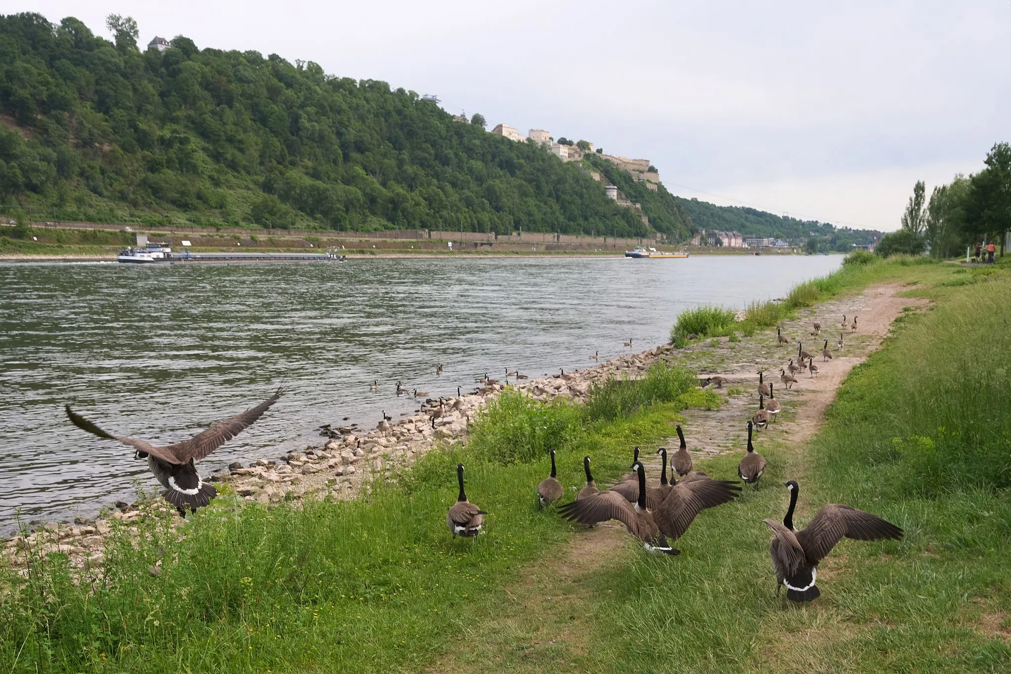 Ruhiges Wetter zum Wochenstart an Rhein und Saar
