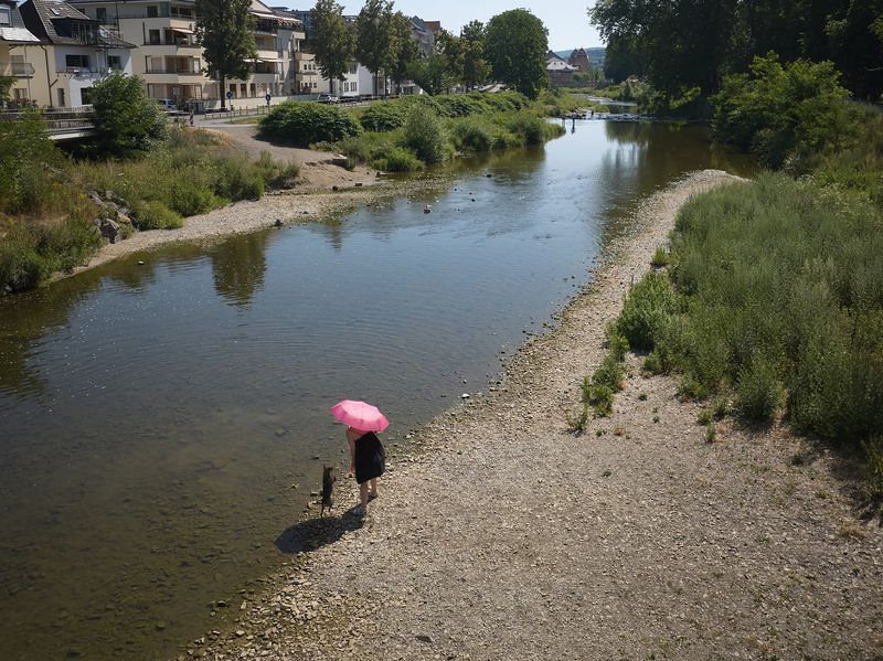 Wärmster Juni in Rheinland-Pfalz seit Aufzeichnungsbeginn