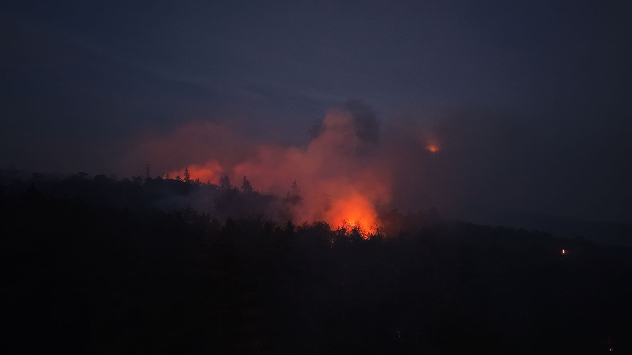 Landrätin im SWR: Haben Waldbrand im Griff