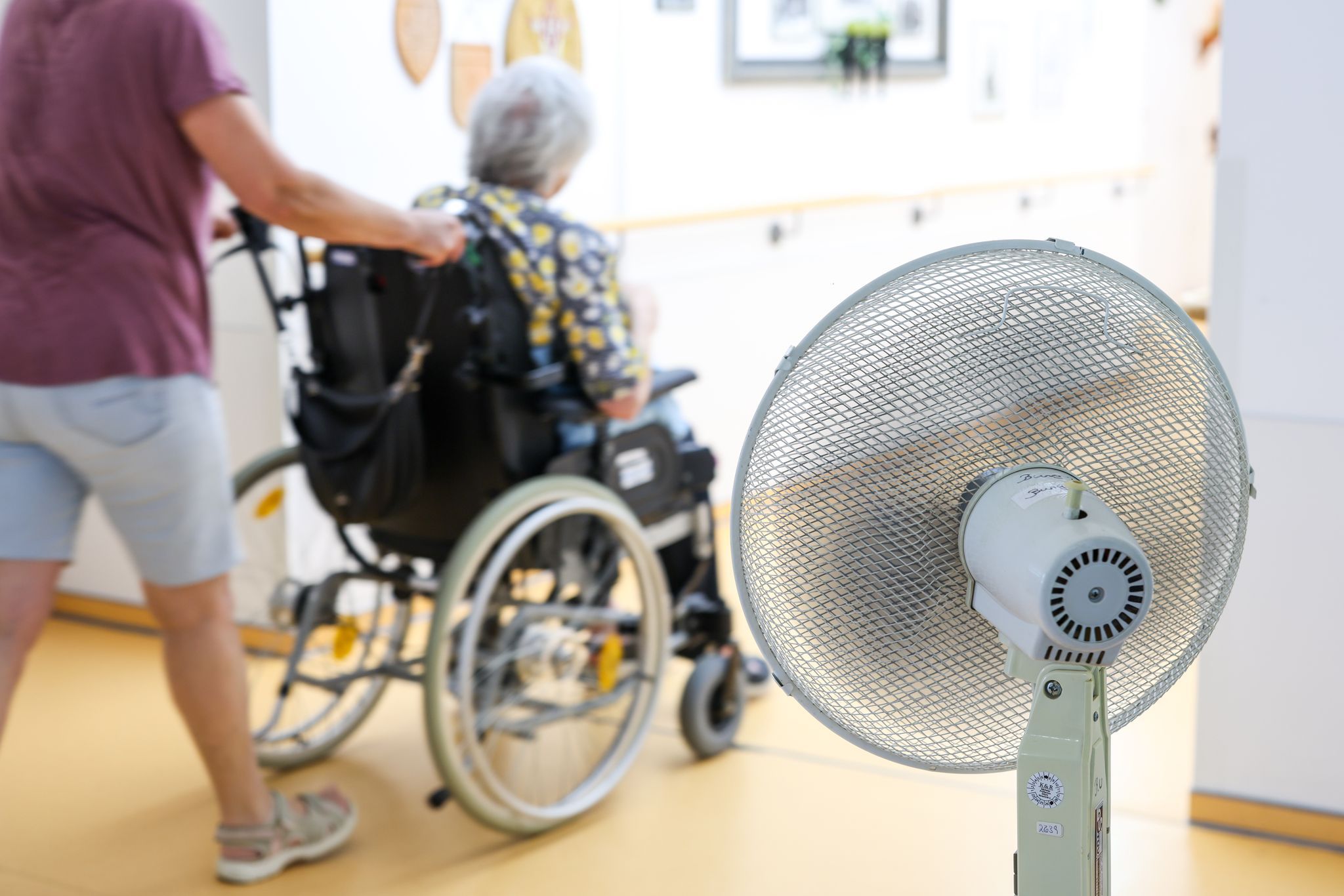 Kammer will «Kraftakt für Klimaanpassung in der Pflege»
