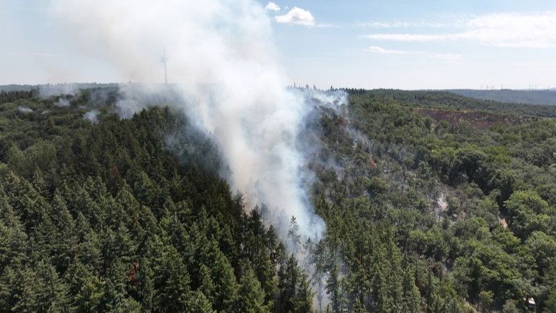 Ort wegen Waldbrands fast geräumt - Funkturm im Fokus